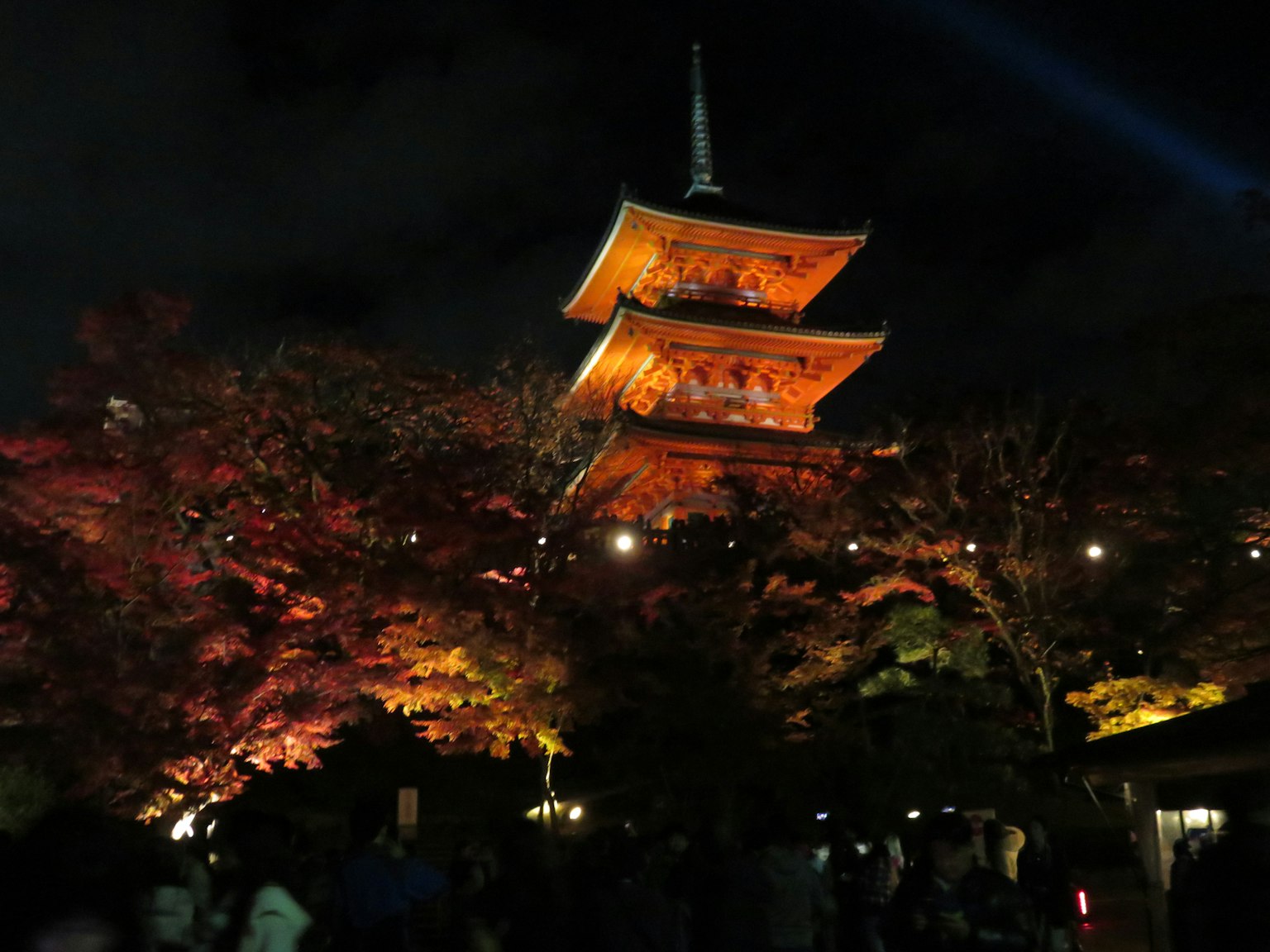 Templo Kiyomizu-dera iluminado por la noche con hojas de otoño