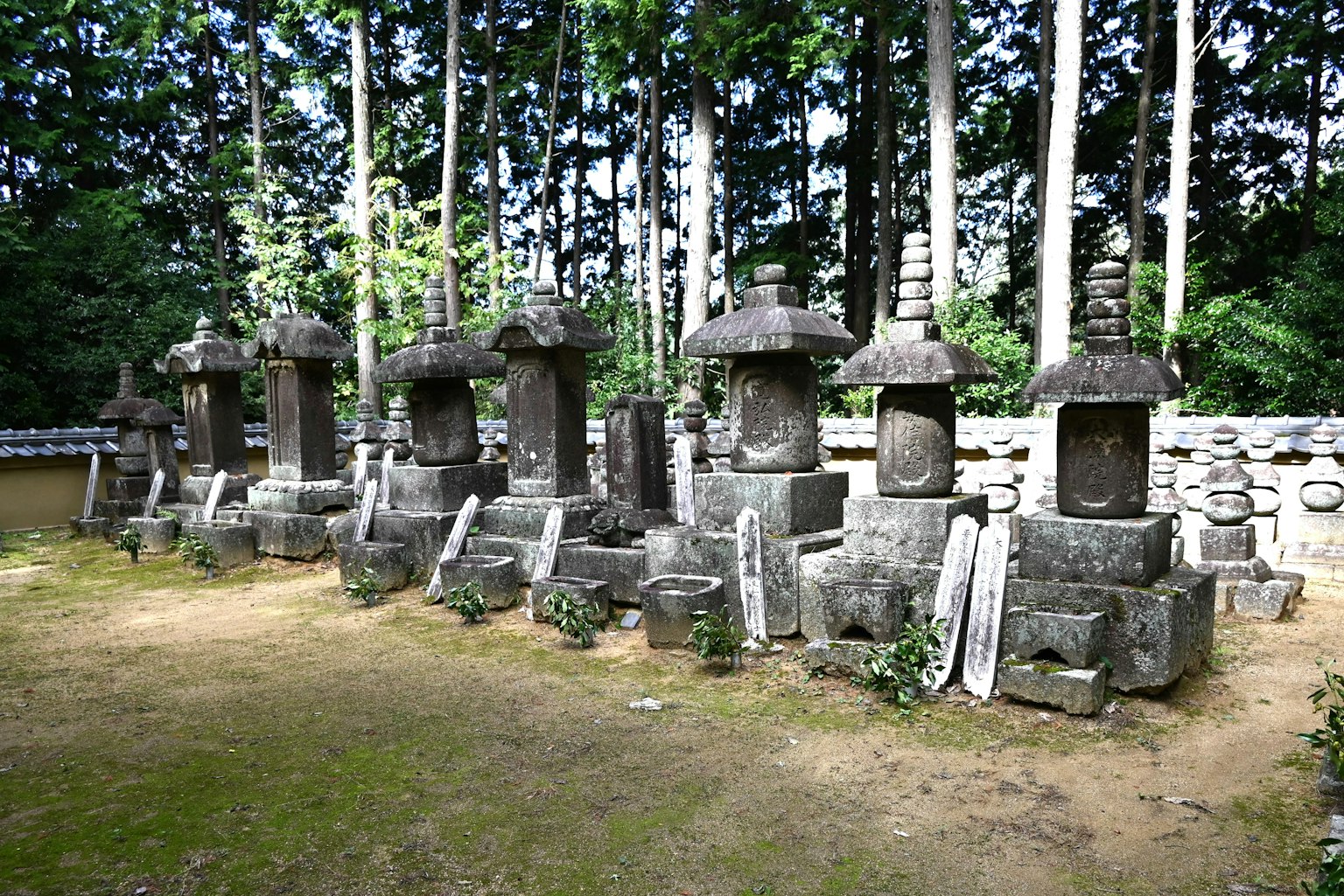 Steingräber in einer ruhigen Waldlandschaft angeordnet