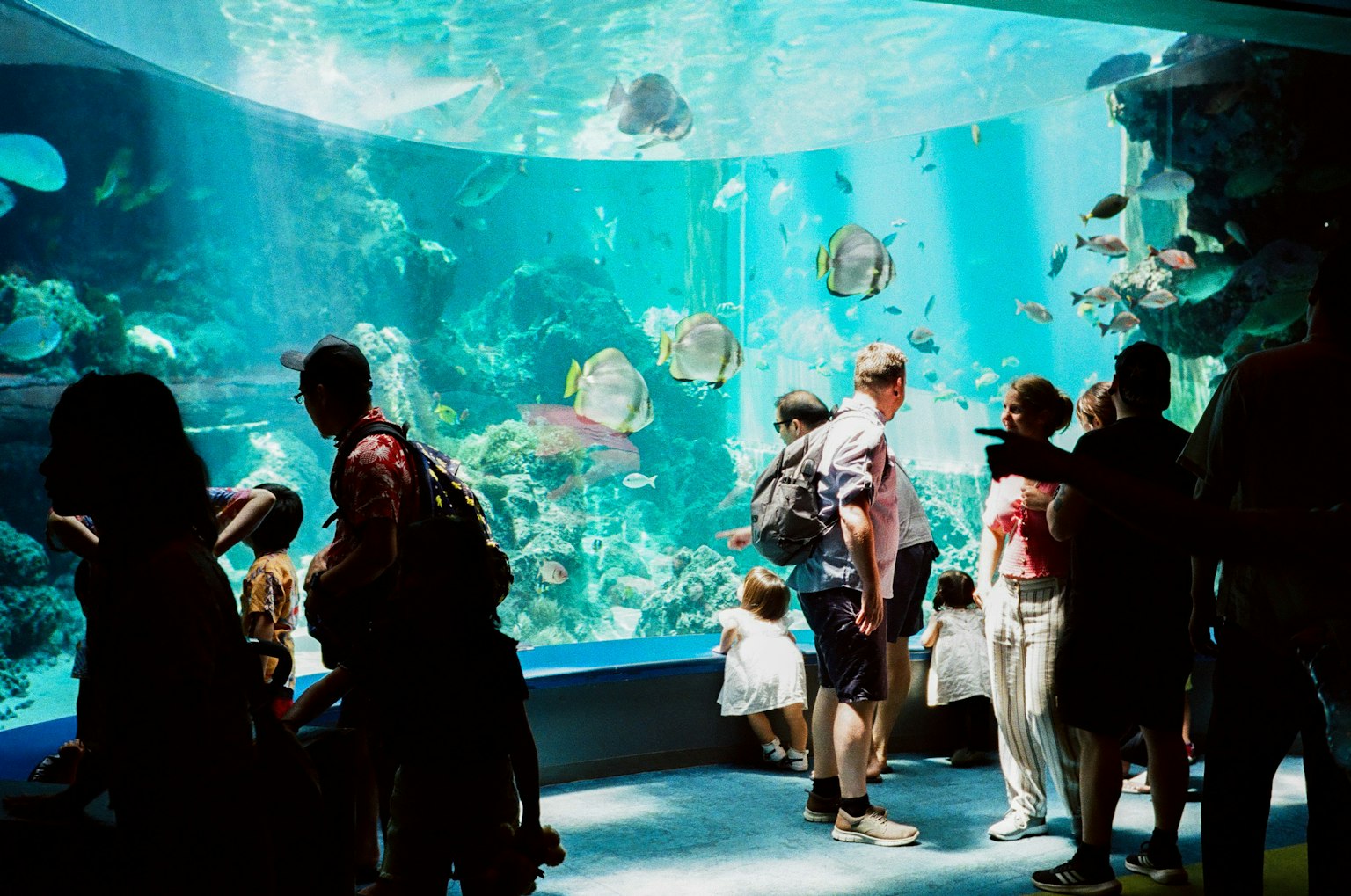 Visitors observing a large aquarium filled with colorful fish
