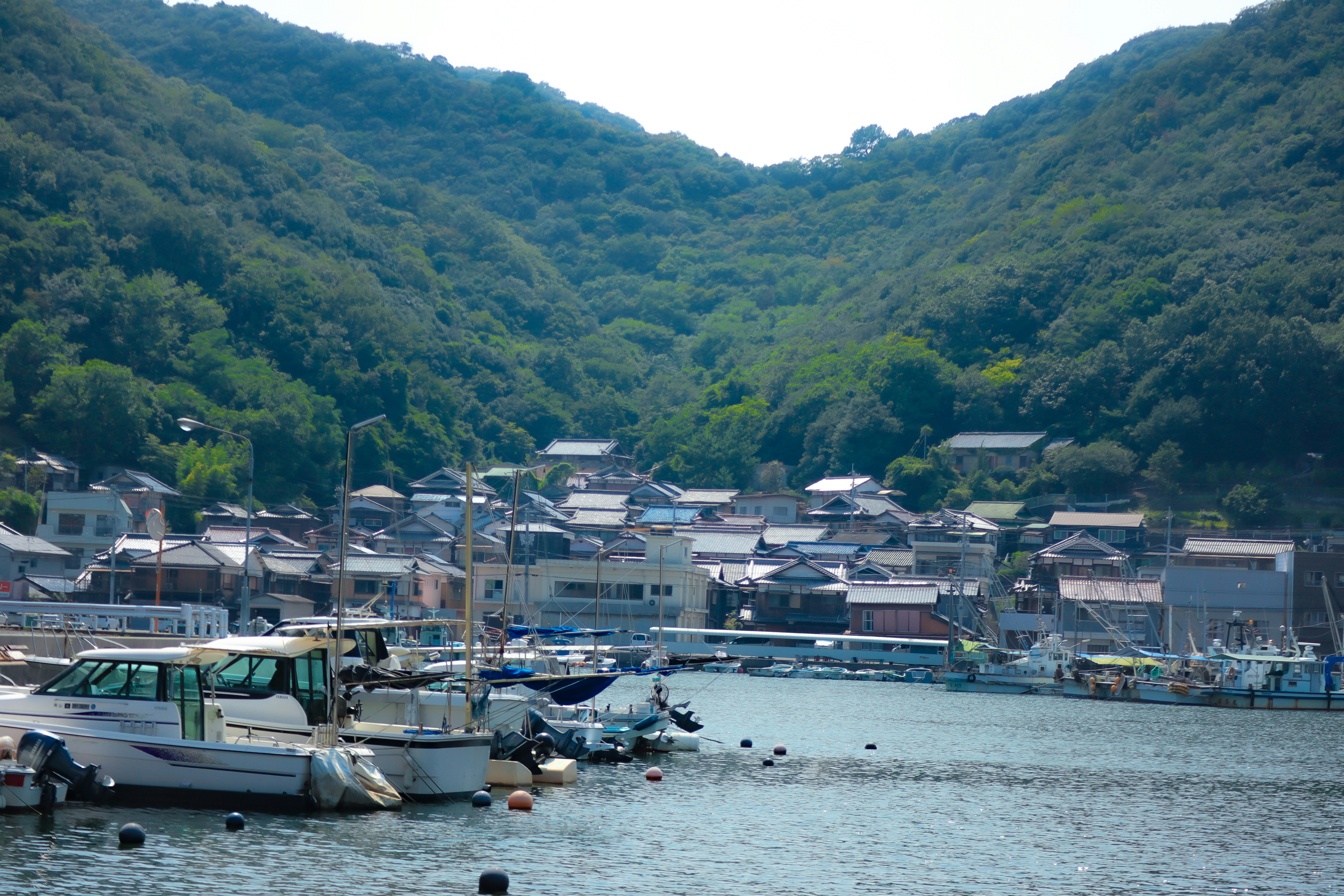 山谷漁村港口，船隻沿岸停靠