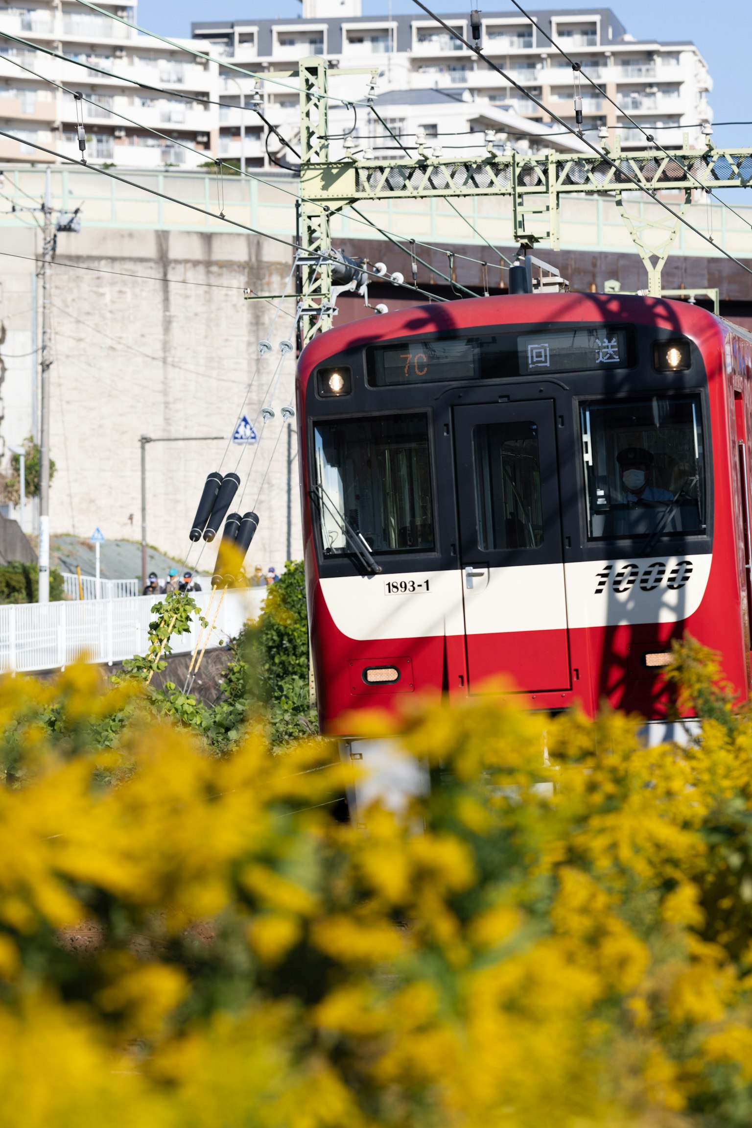 紅色火車經過前景中的黃色花朵