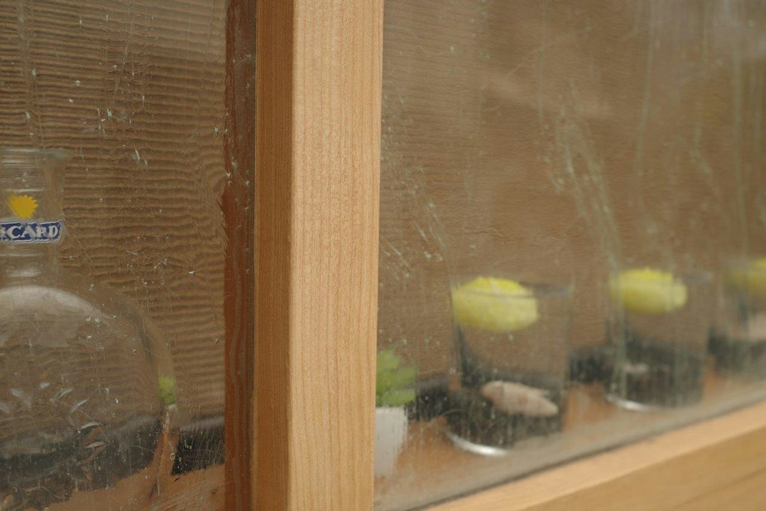 裝在木框內的水滴玻璃後面的植物容器