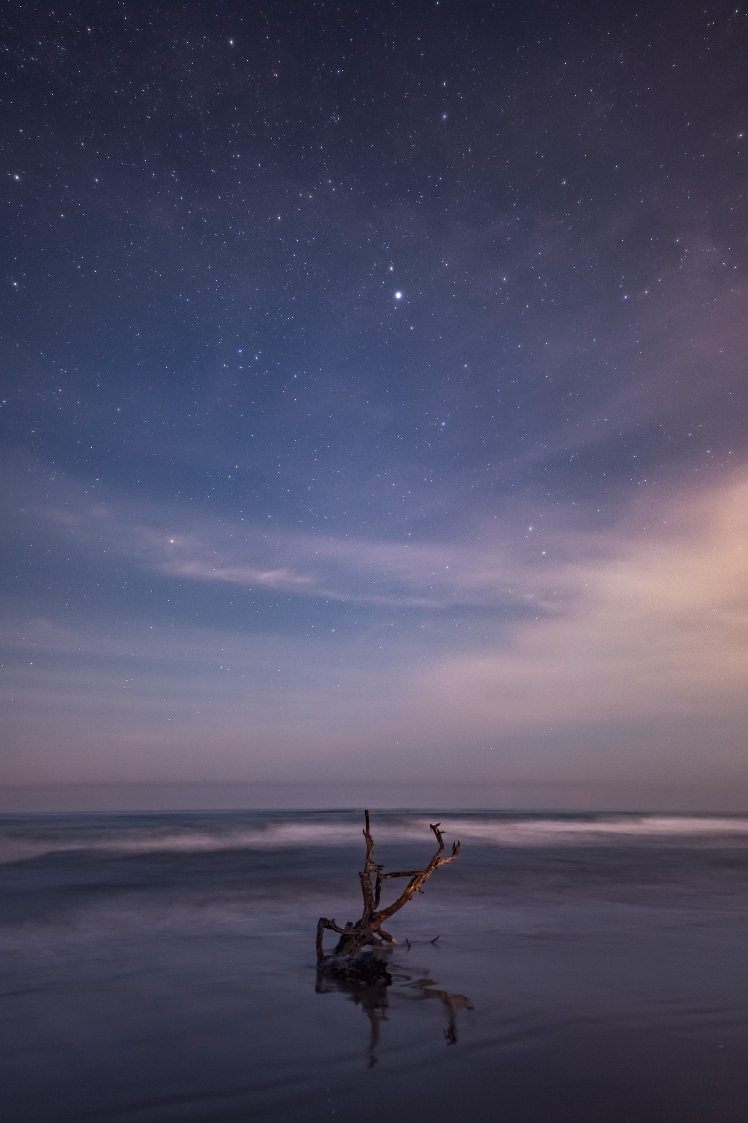Silhouette of driftwood against a starry night sky over the ocean