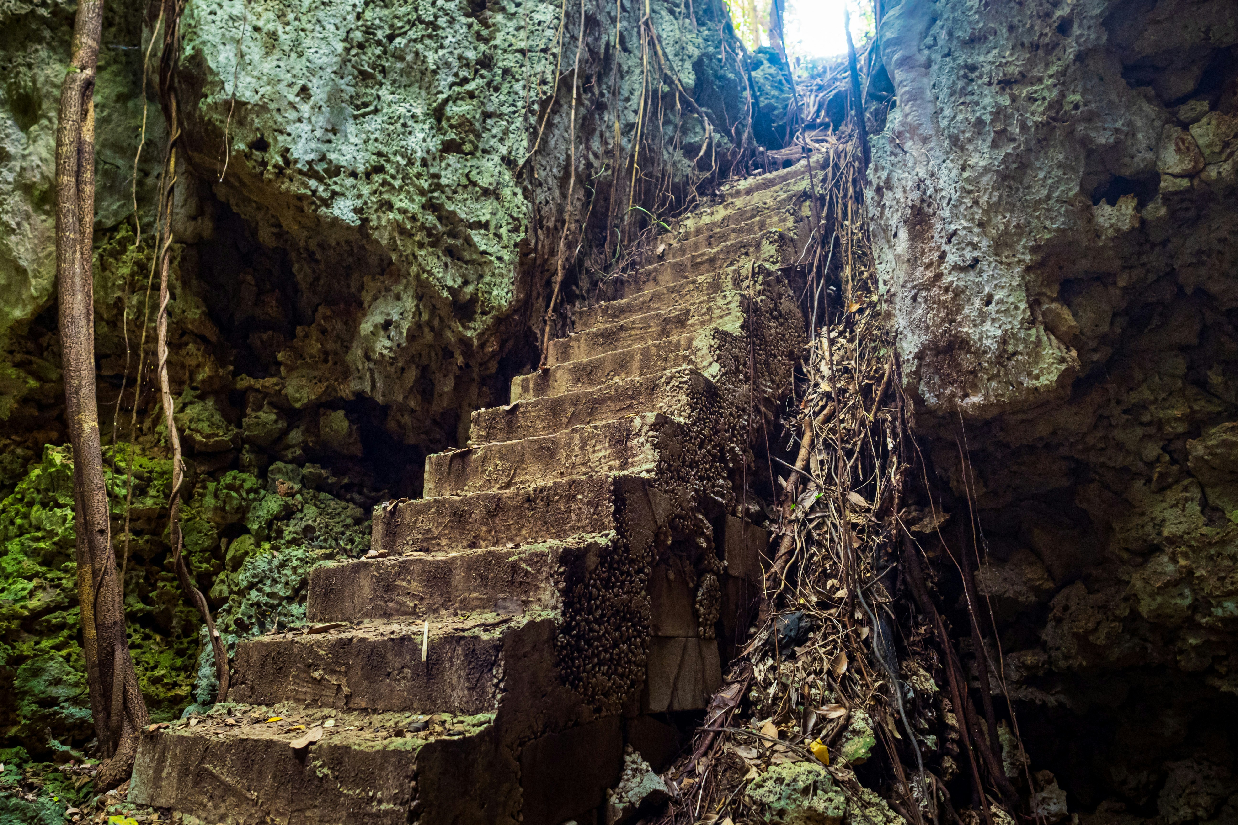 Stone staircase surrounded by lush greenery and rocky walls