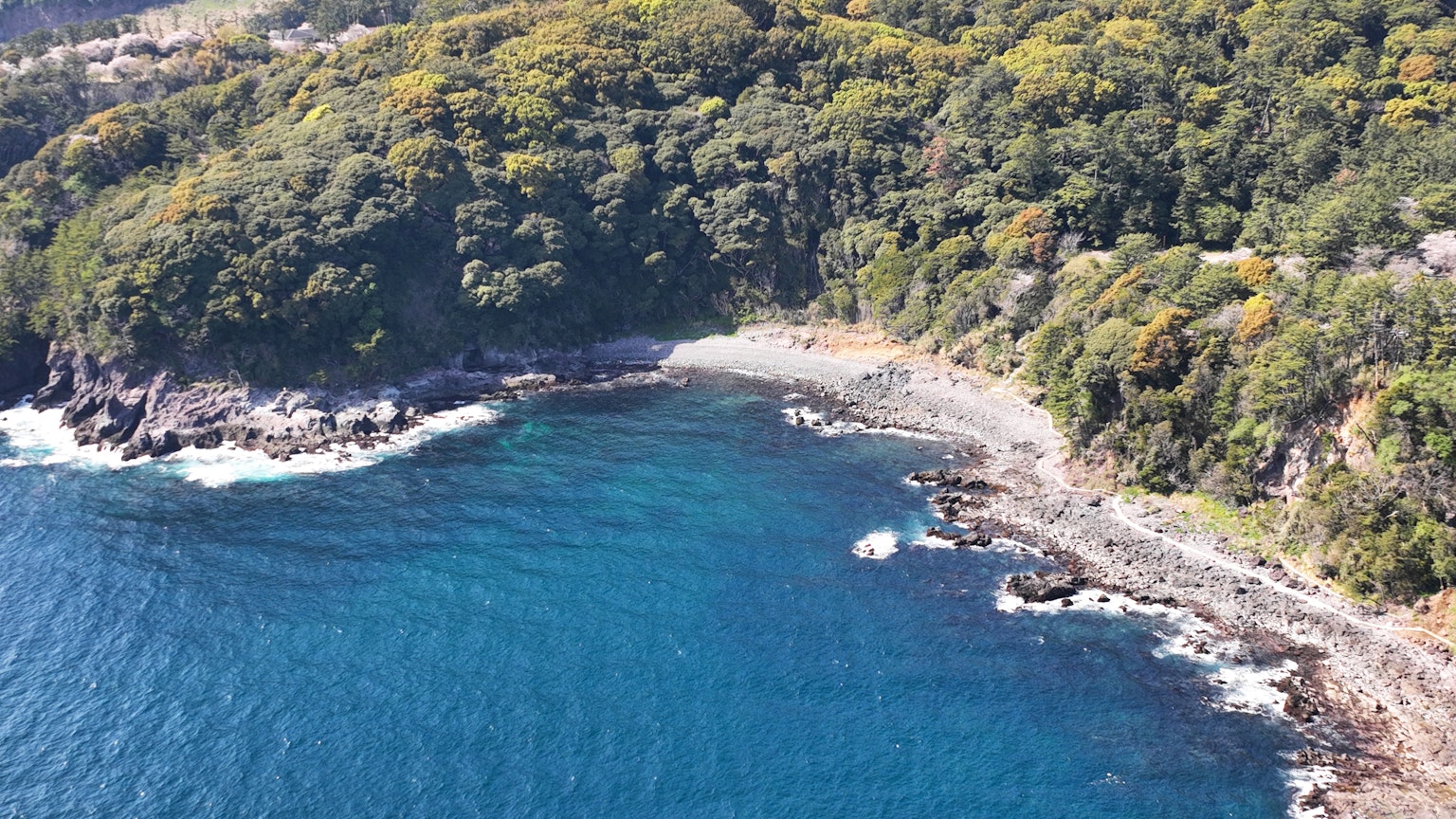 風景如畫的海岸景觀，藍色水域和郁郁蔥蔥的森林