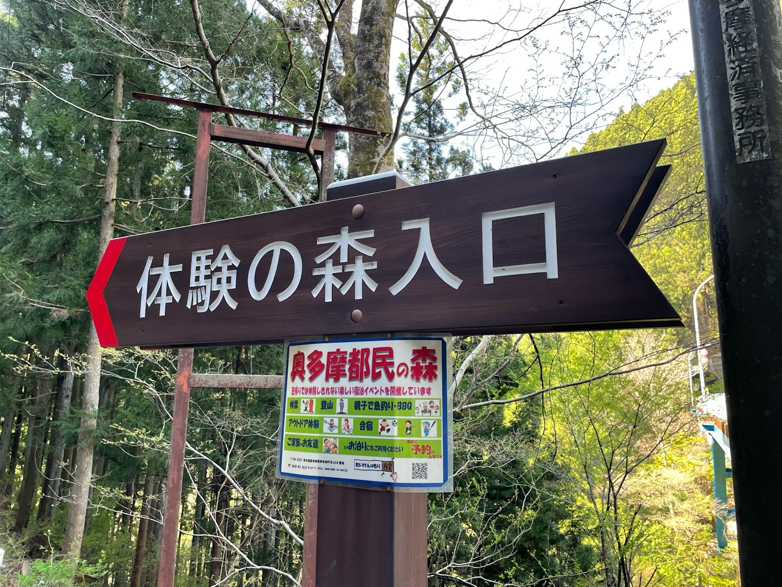 Cartel que indica la entrada al bosque rodeado de árboles verdes