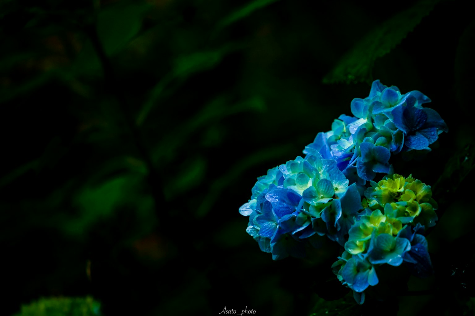 photo-tlfIuf4AqeGcEb2zTkq5-image