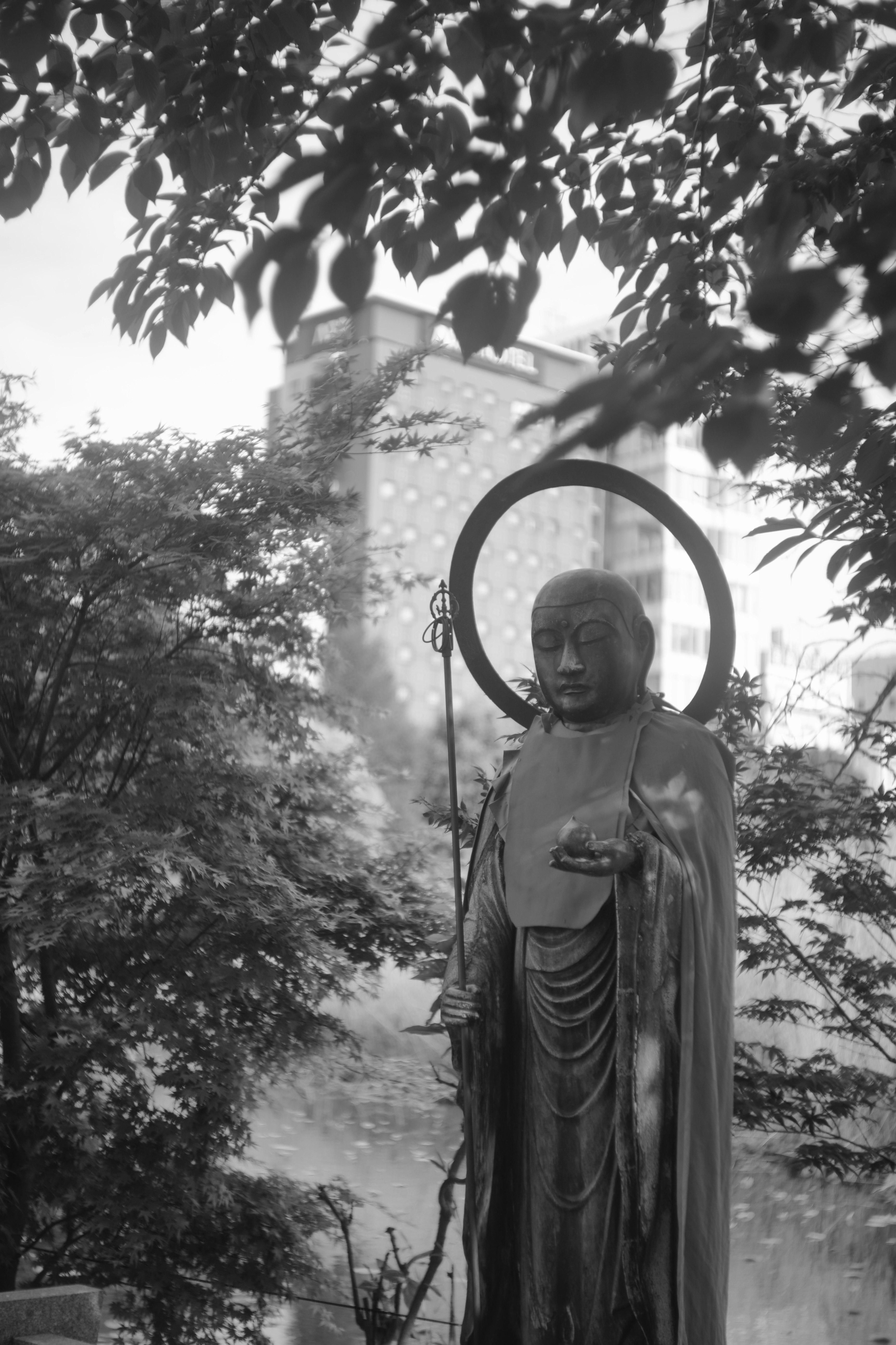 台北上野公園樹蔭下的佛像