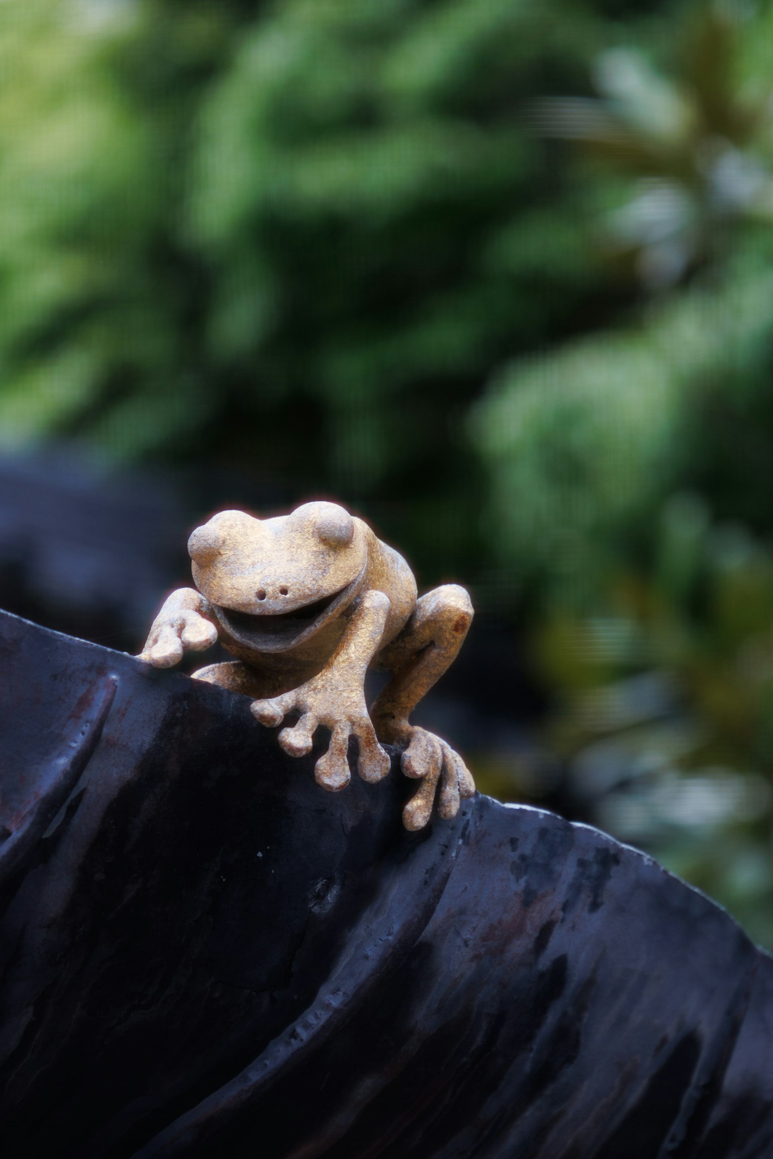 Une petite grenouille assise sur une roche noire avec un fond vert