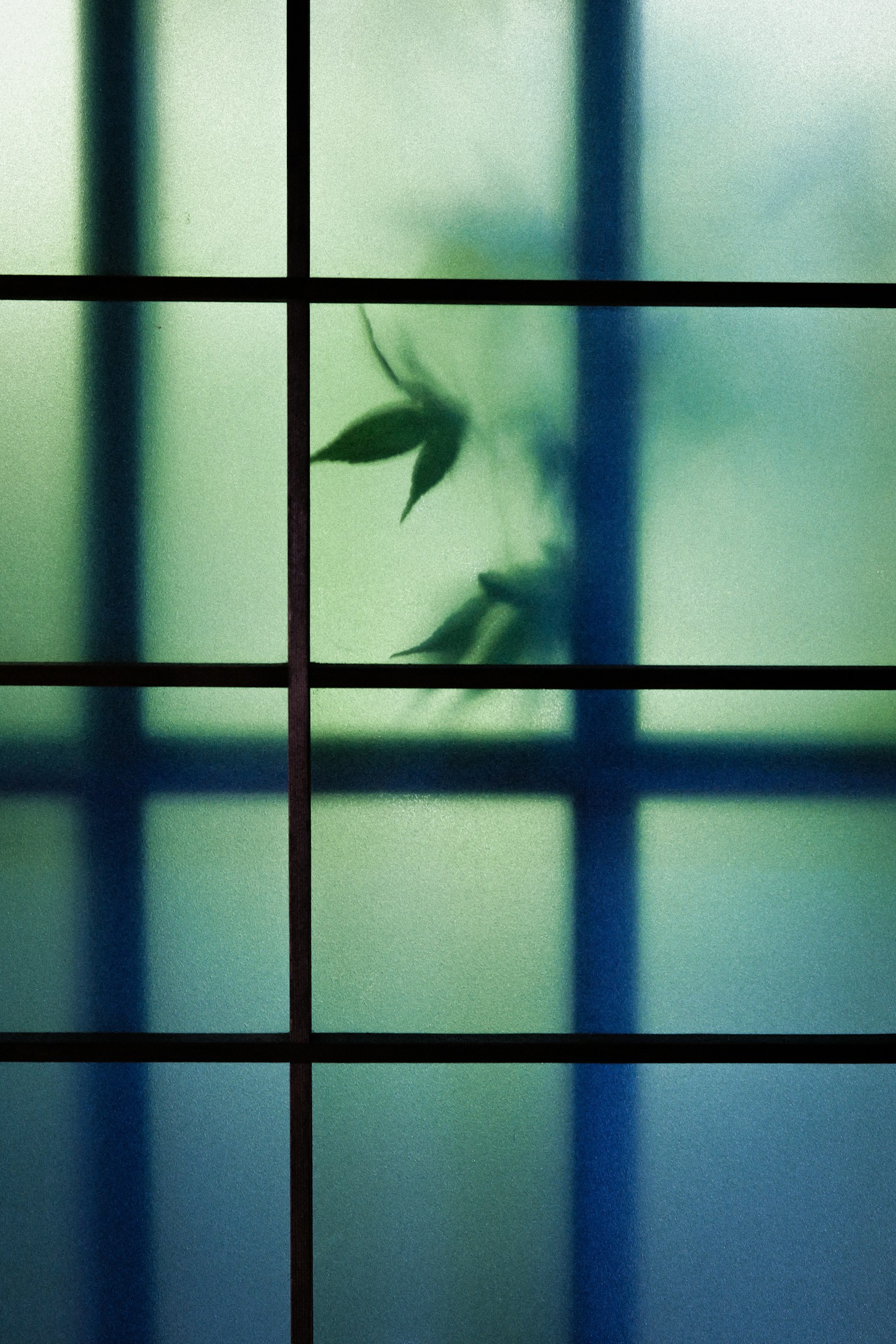 photo-tnIwgjwWIoWfAlj5VPSQ-image