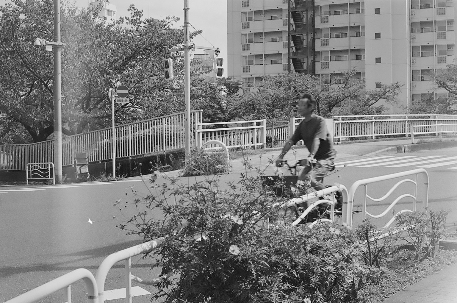 スケートボードをする男性と周囲の植物がある白黒の都市風景