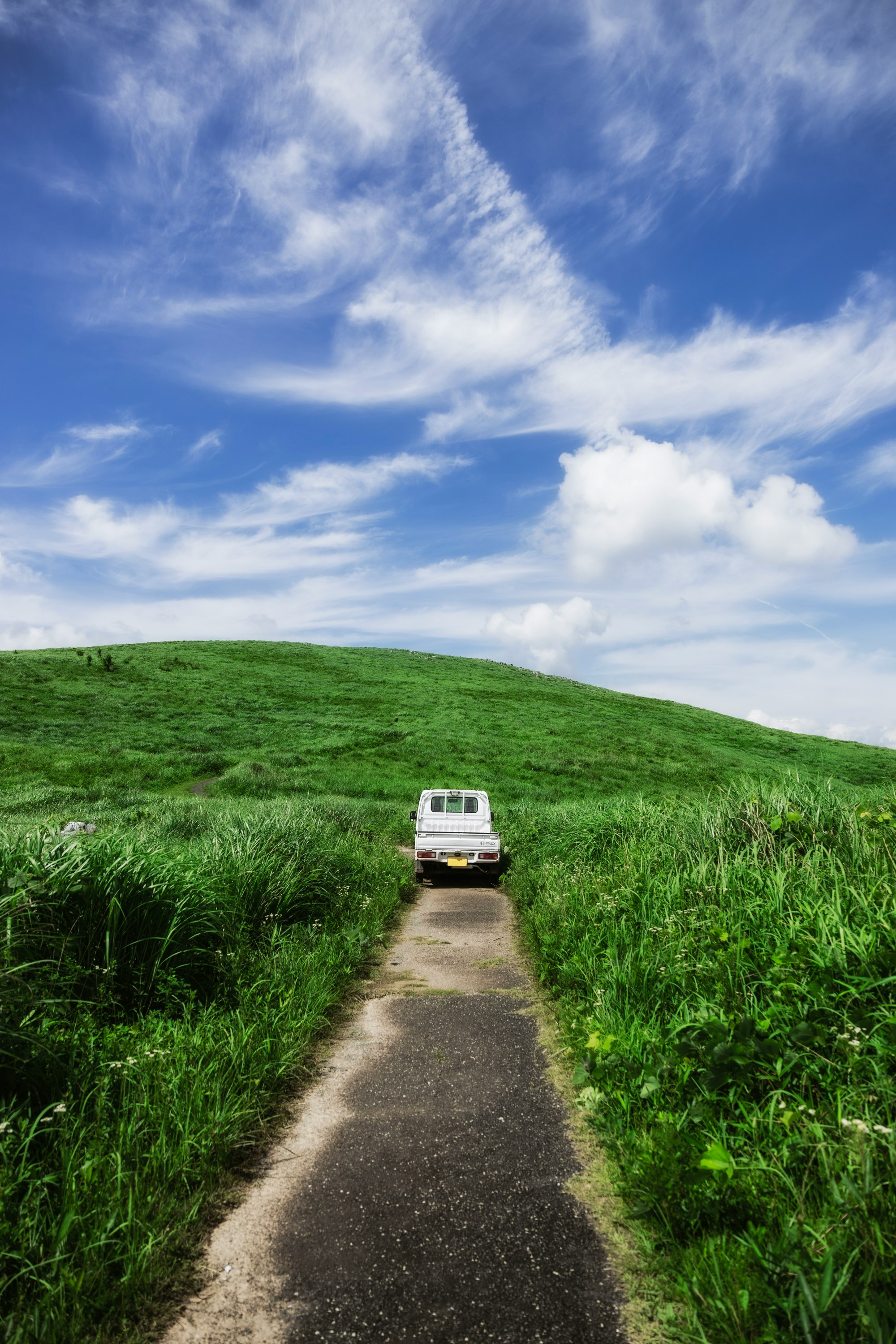 un petit van sur une route dans une prairie verte