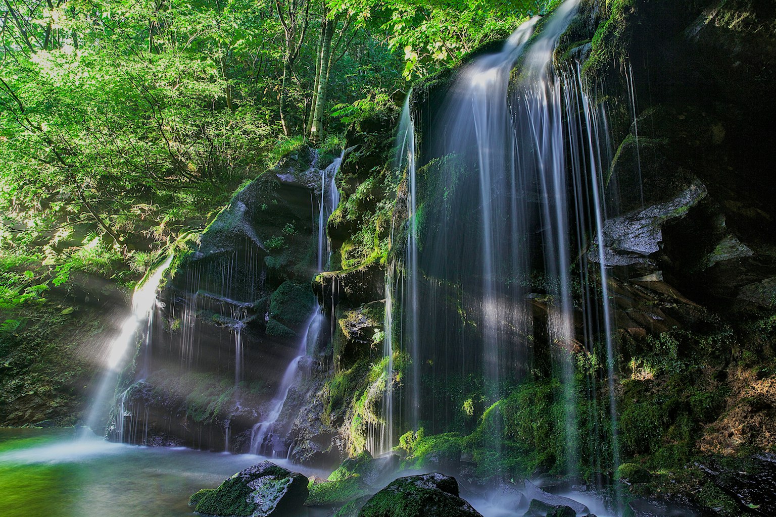 Belle scène de cascade entourée d'une verdure luxuriante