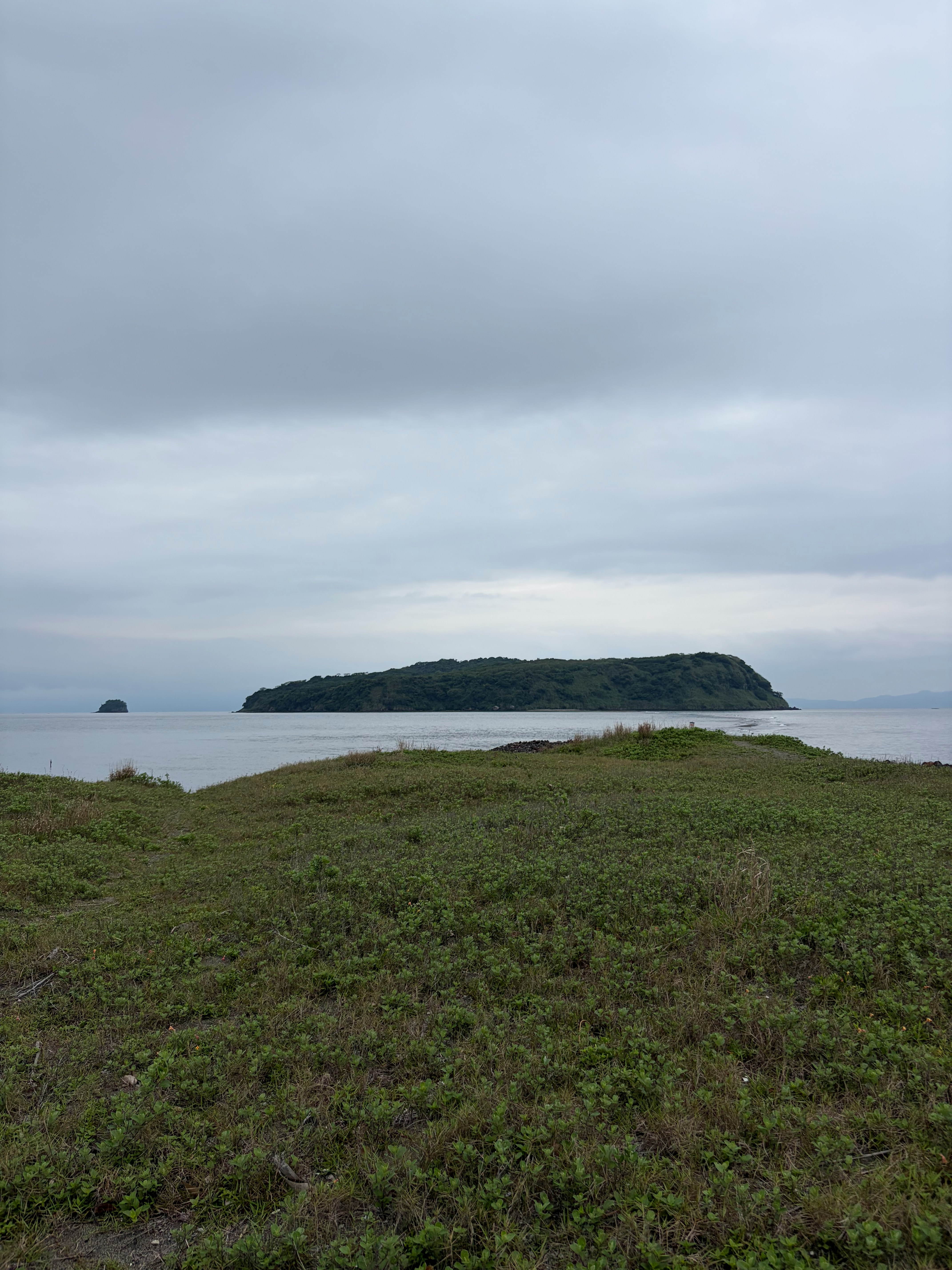 曇天の海辺に浮かぶ小島と草地の景色