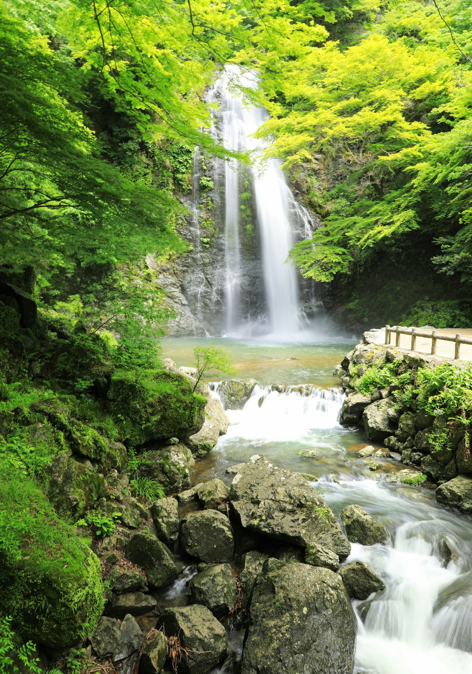 ทิวทัศน์ที่สวยงามของน้ำตกที่ล้อมรอบด้วยต้นไม้สีเขียวชอุ่ม