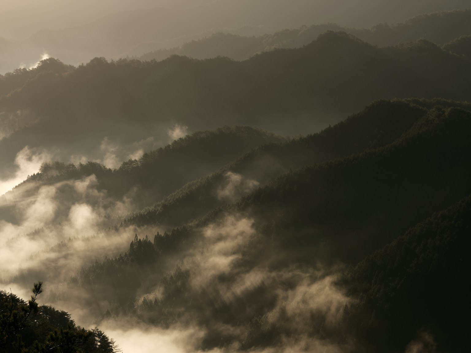 Paesaggio montano sereno con nebbia e foschia