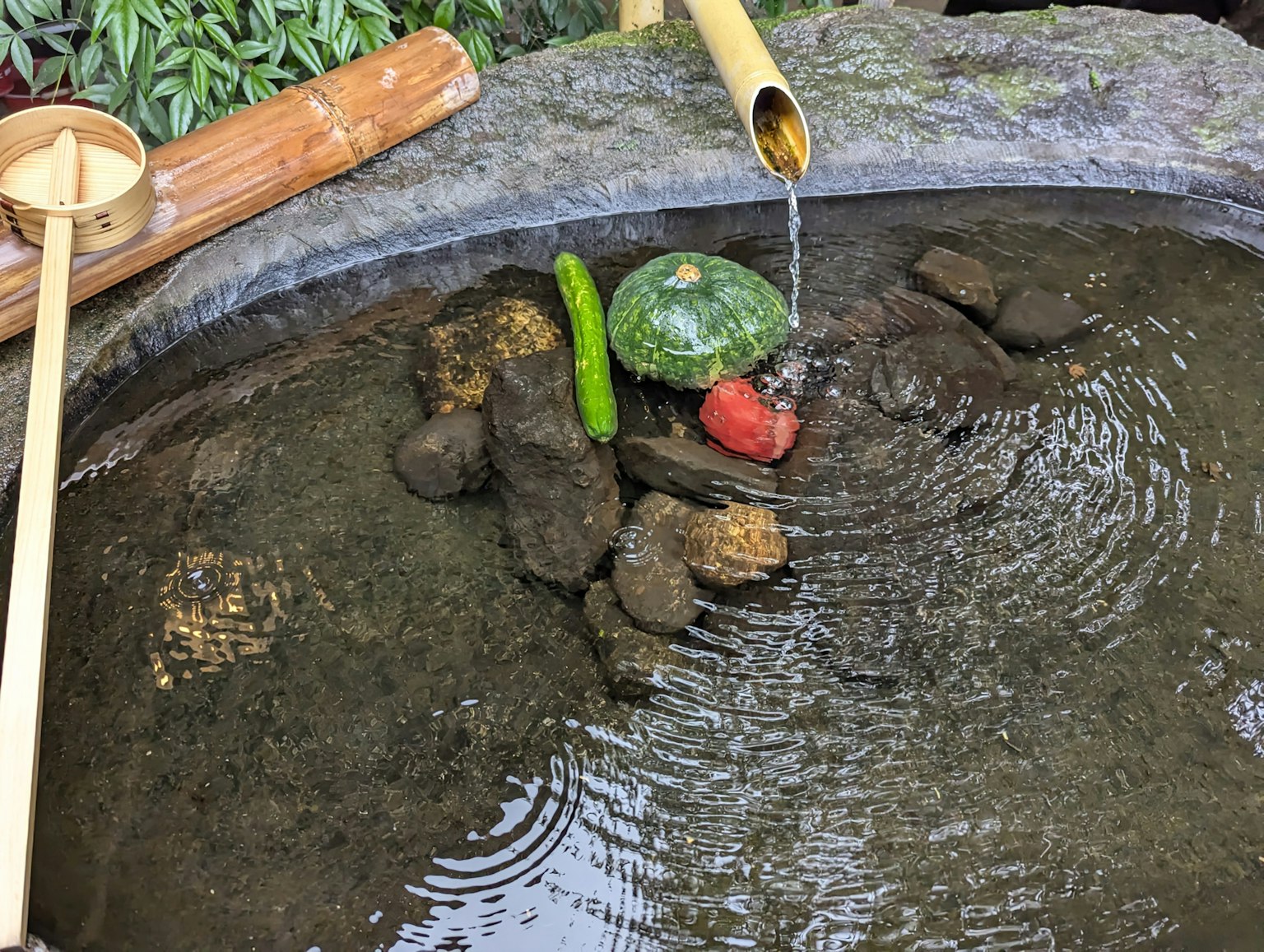 Una scena di stagno serena con una tartaruga e pietre nell'acqua bamboo che scorre e piante verdi