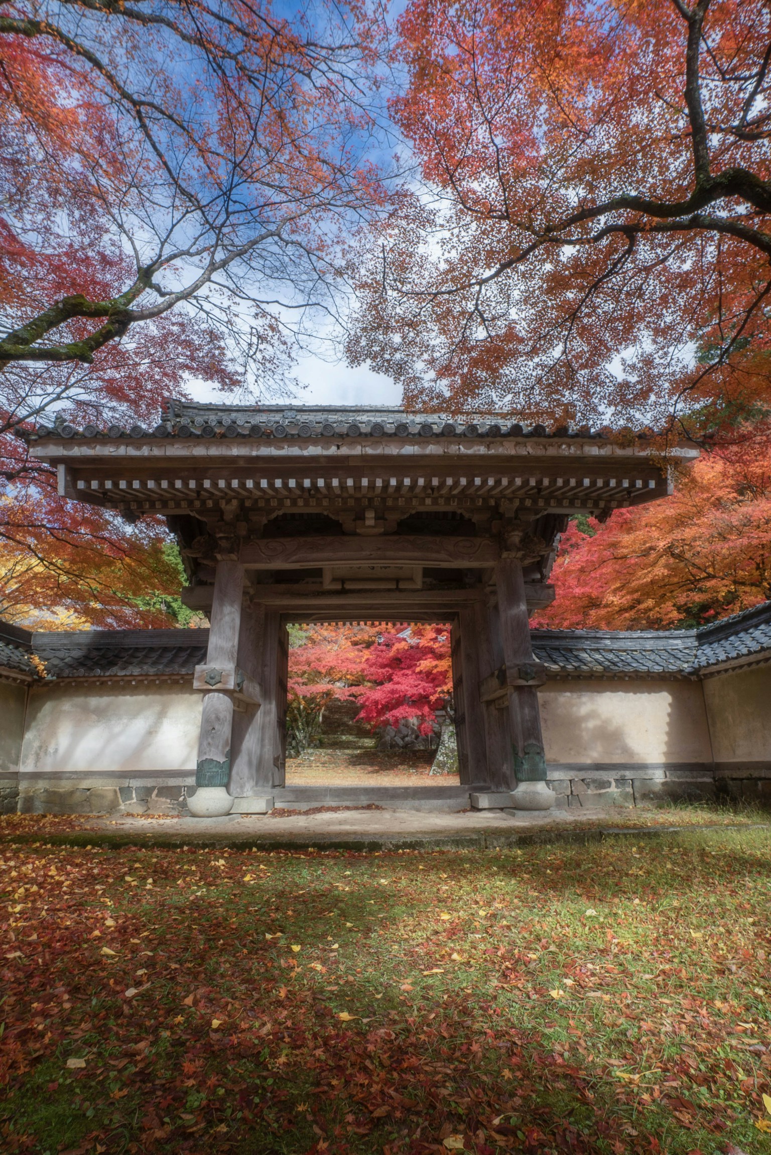 Puerta tradicional rodeada de vibrantes hojas de otoño