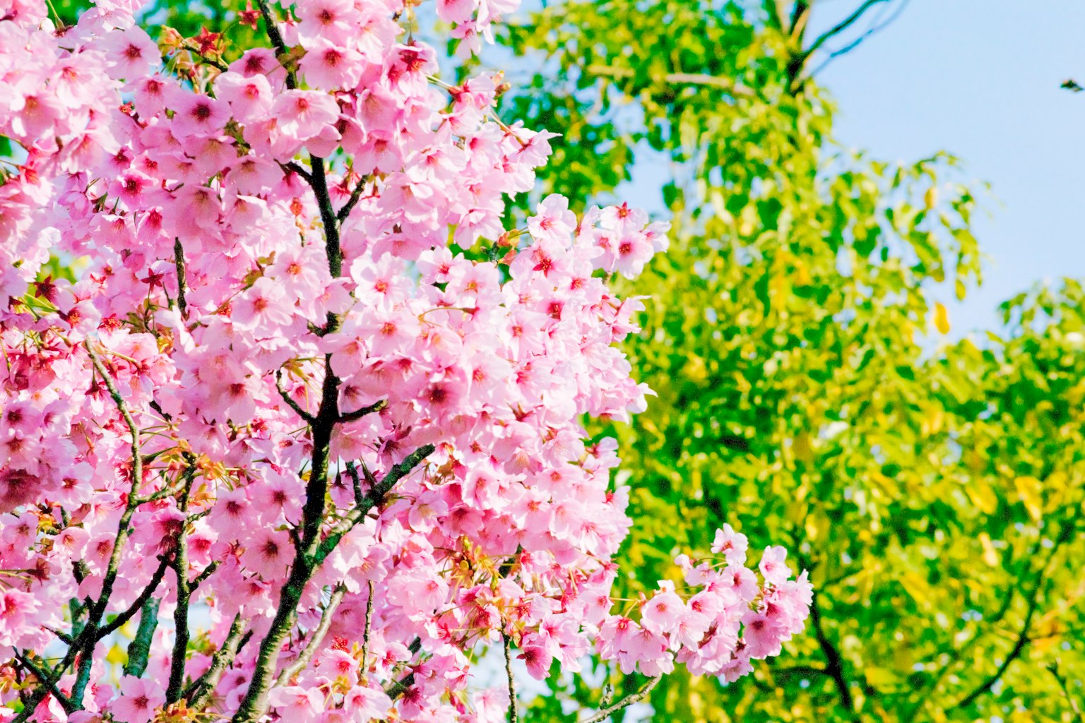 photo-tqqND4azIaMUlKQjZSXB-image