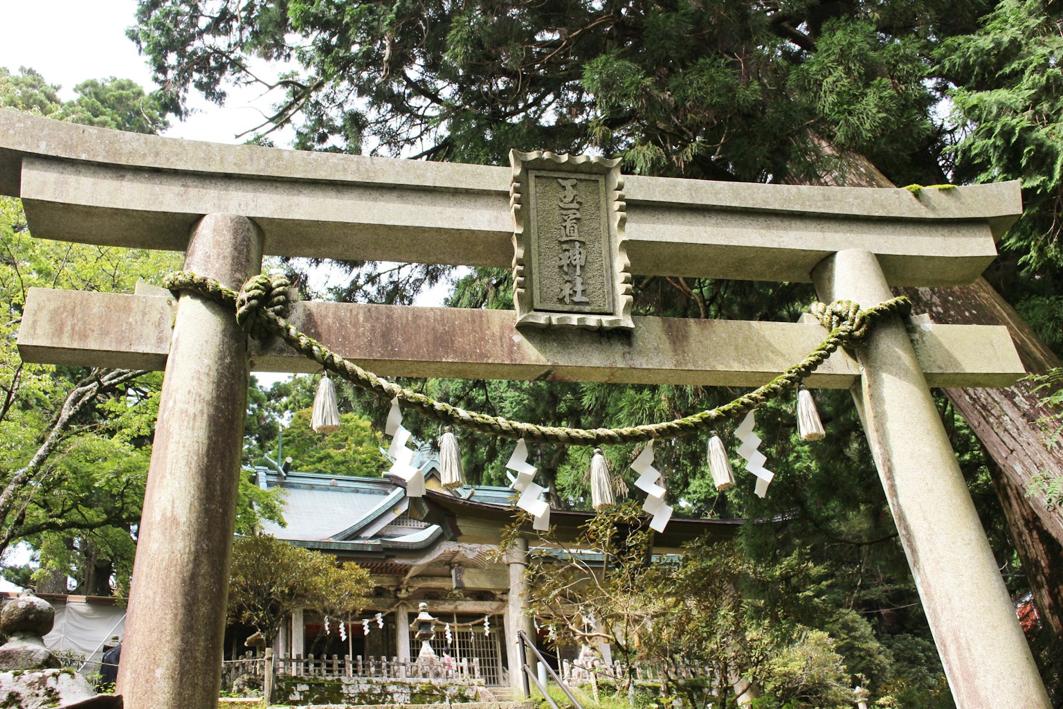 神社背景的鳥居和裝飾性繩索