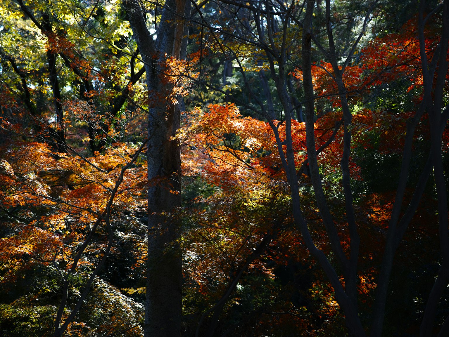 photo-trYdODJqchhyRft7oziO-image