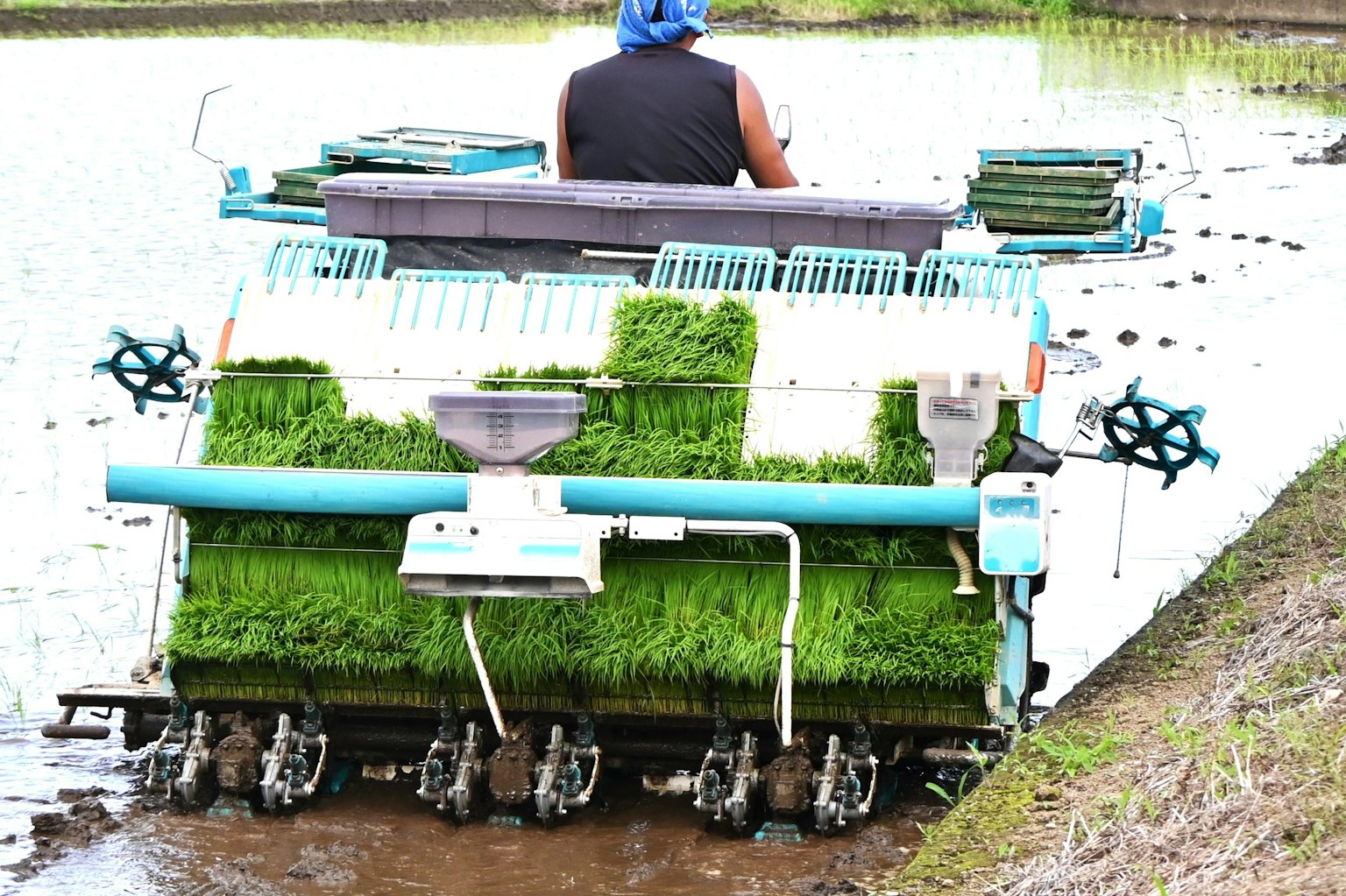 Máquina agrícola con hierba verde trabajando en un campo de arroz