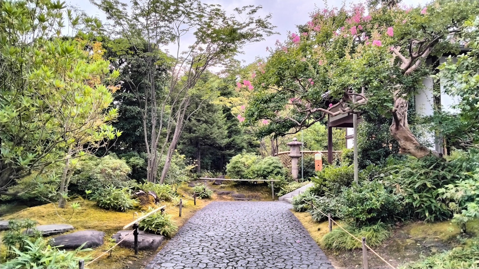 A stone-paved path in a lush garden surrounded by greenery