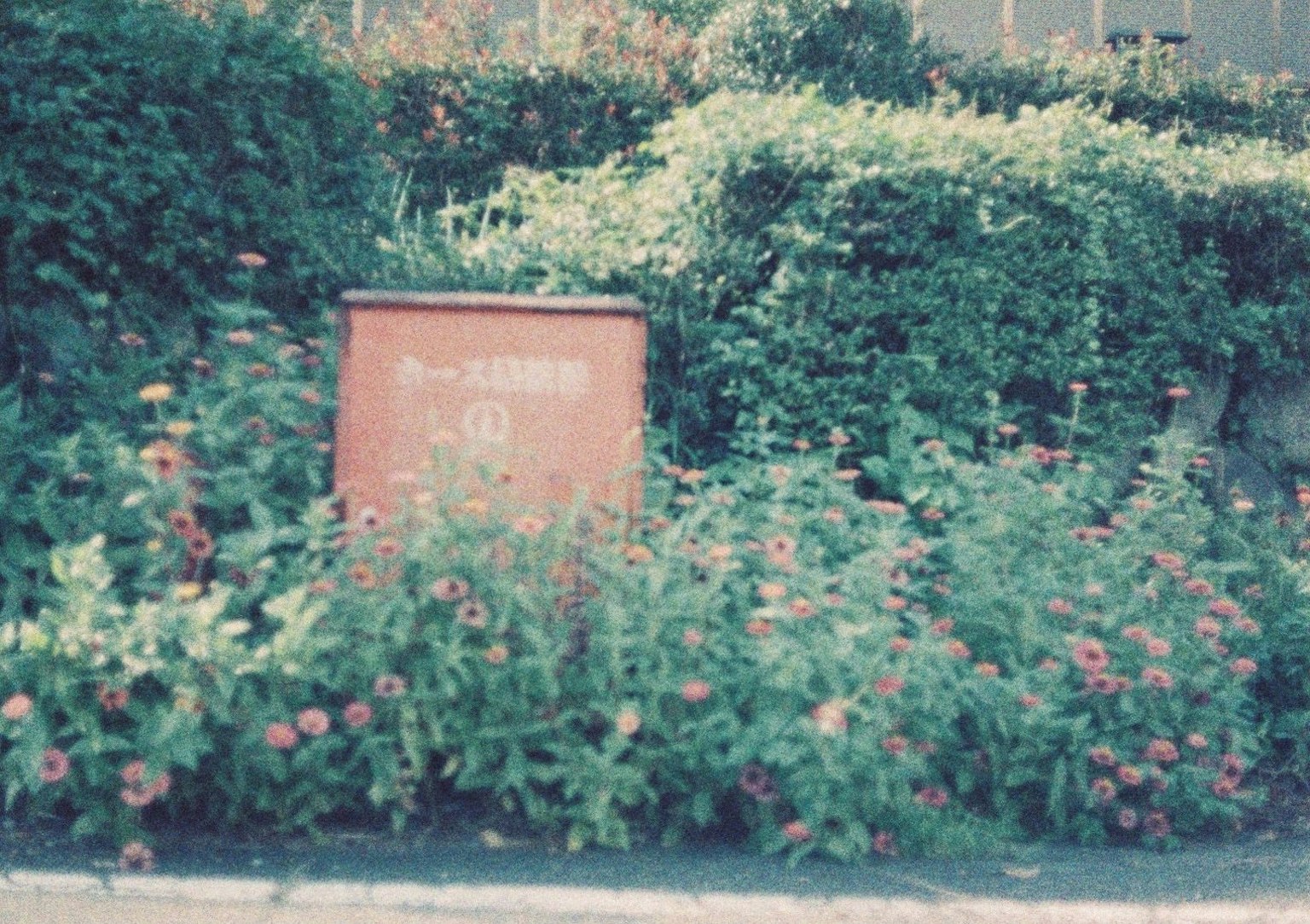 Bunte Blumen in einer üppigen grünen Landschaft mit einem roten Schild