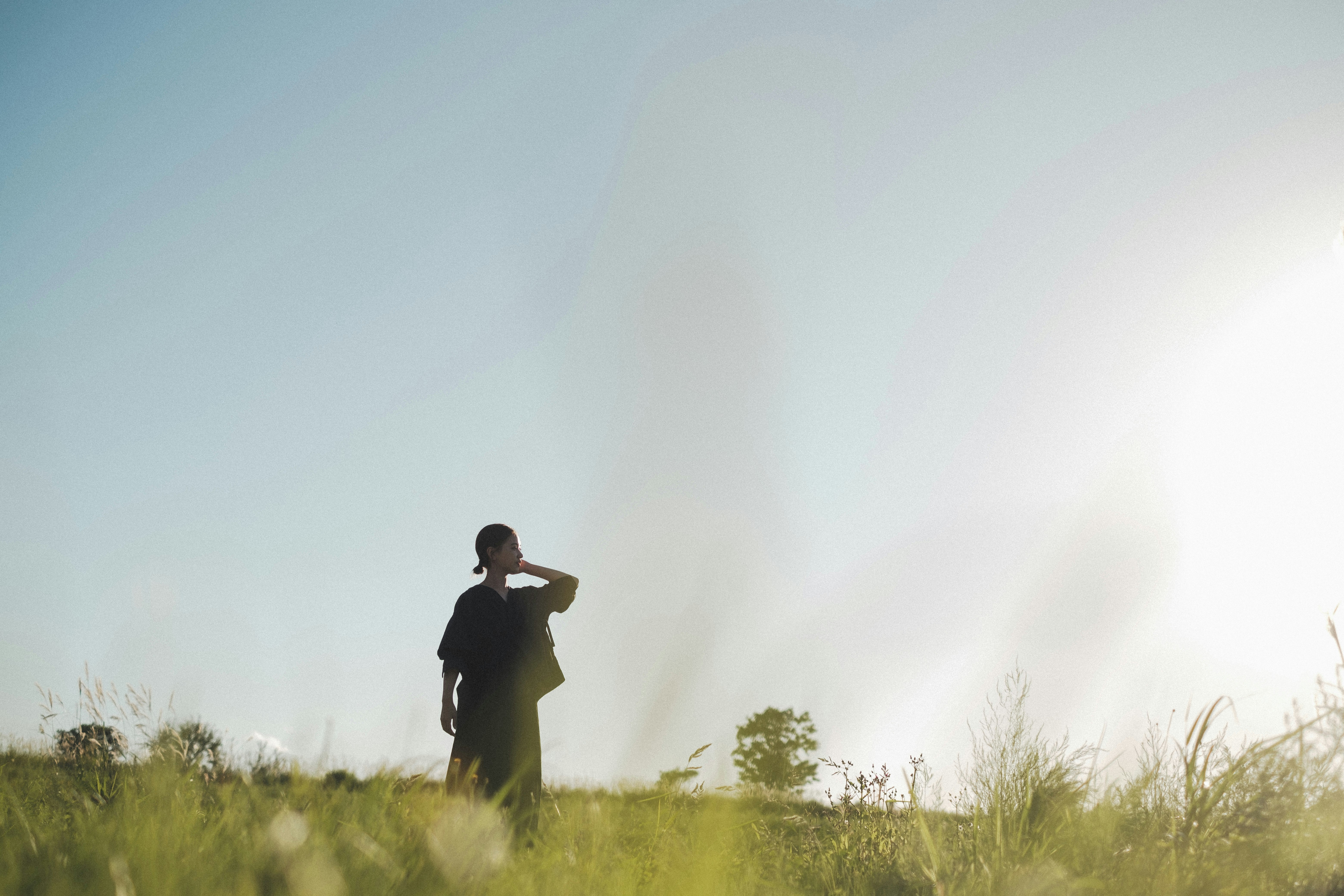 Silhouette einer Person, die in einer Wiese steht
