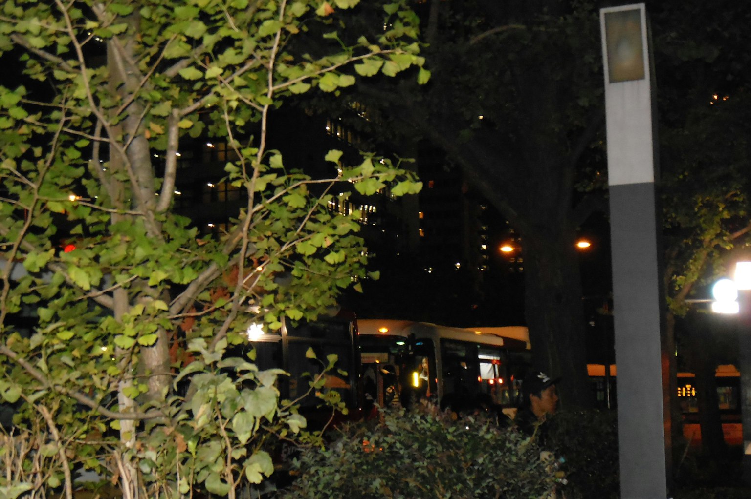 Escena nocturna con luces de la ciudad y vegetación