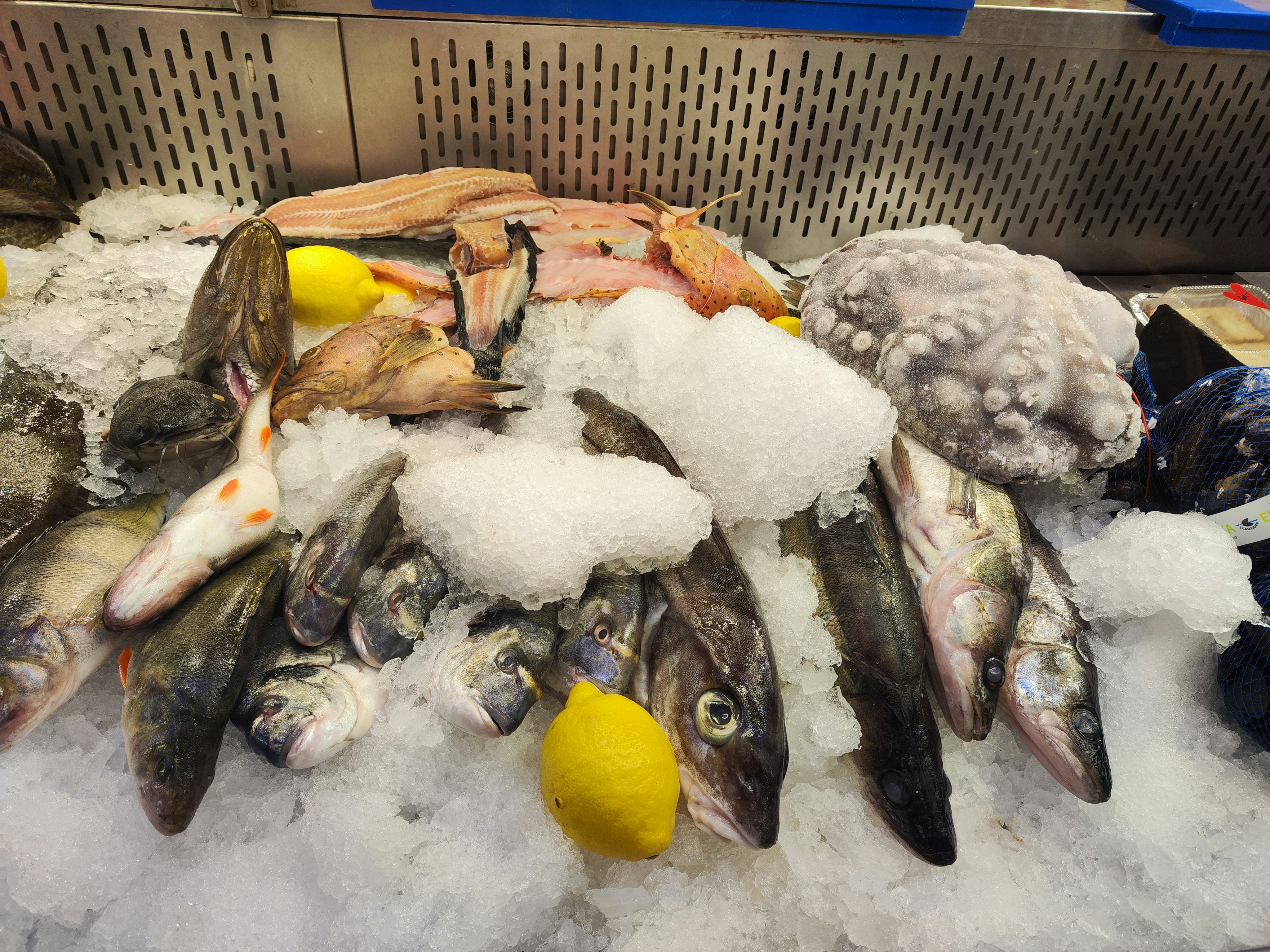 氷の上に並ぶ新鮮な魚とレモン