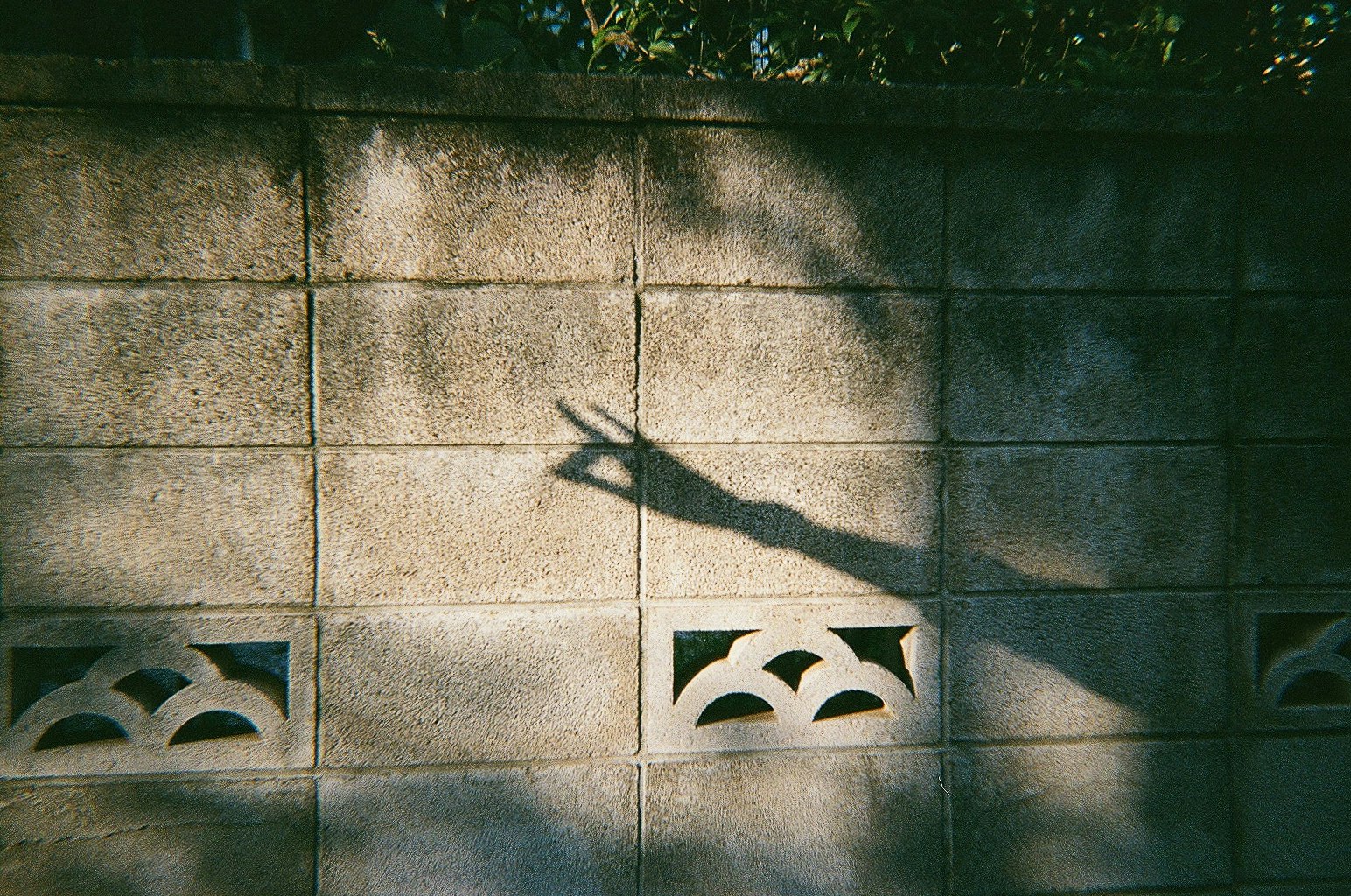 sombra y decoración con motivo de ave en pared de azulejos