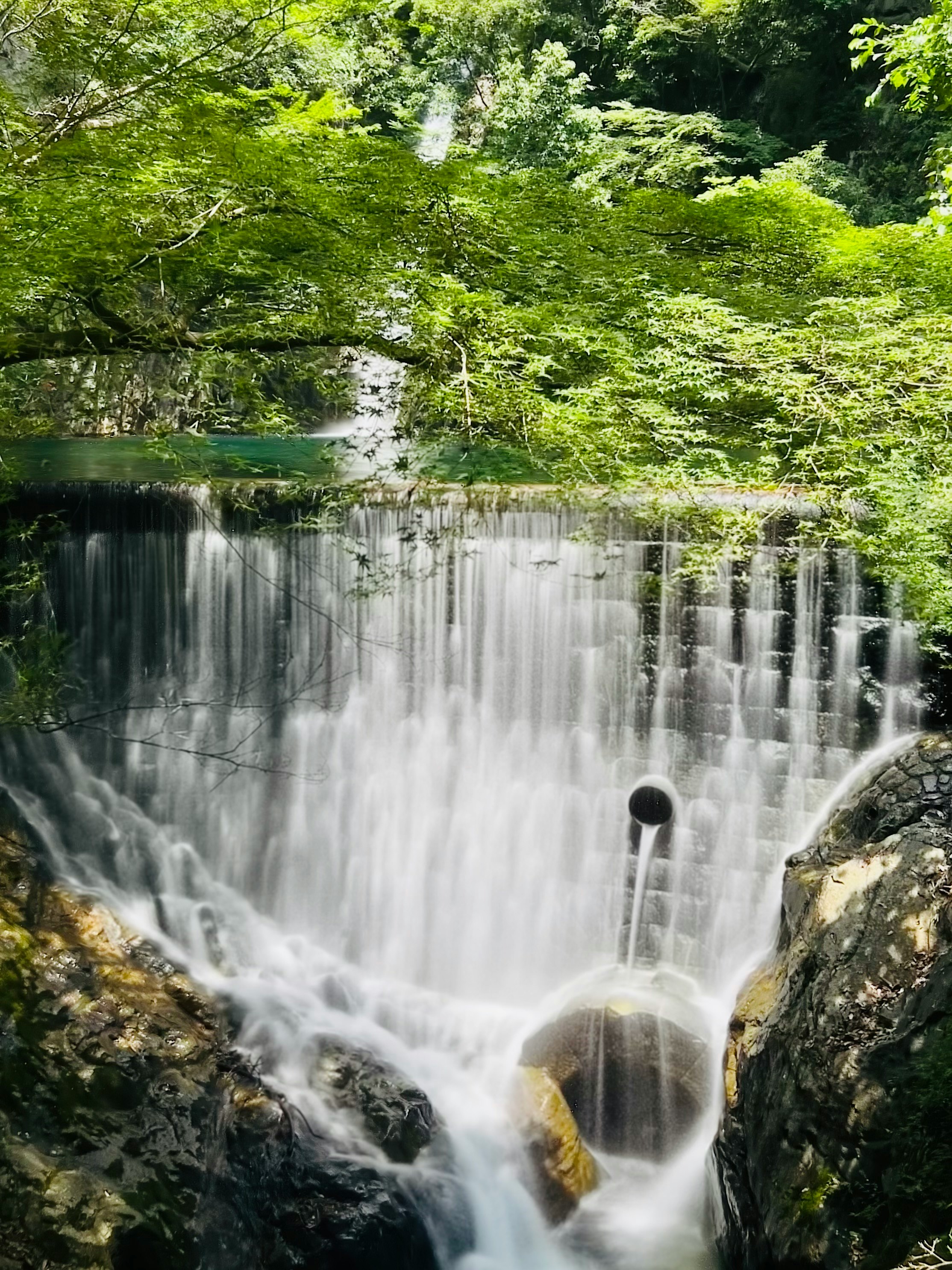 Wasserfall, der durch einen üppigen grünen Wald fließt
