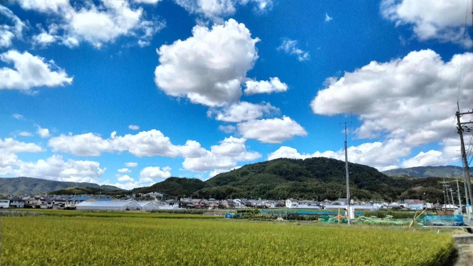 ทิวทัศน์ชนบทท้องฟ้าสีฟ้าและเมฆขาวทุ่งข้าวสีเขียวและภูเขาไกล