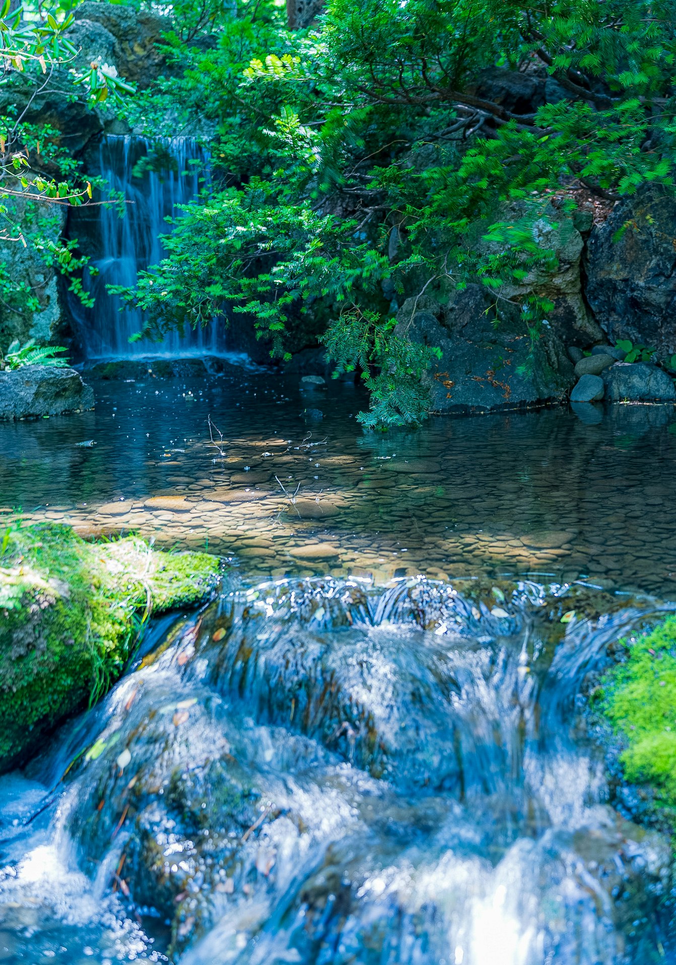 緑に囲まれた小さな滝と流れのある渓流の風景