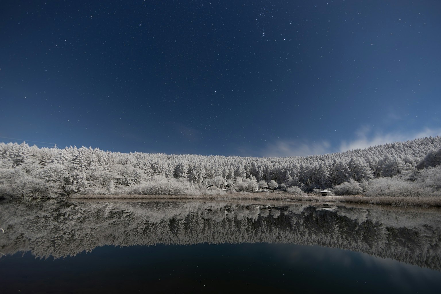 Paysage d'hiver magnifique avec des arbres givrés reflétés dans l'eau calme sous un ciel bleu
