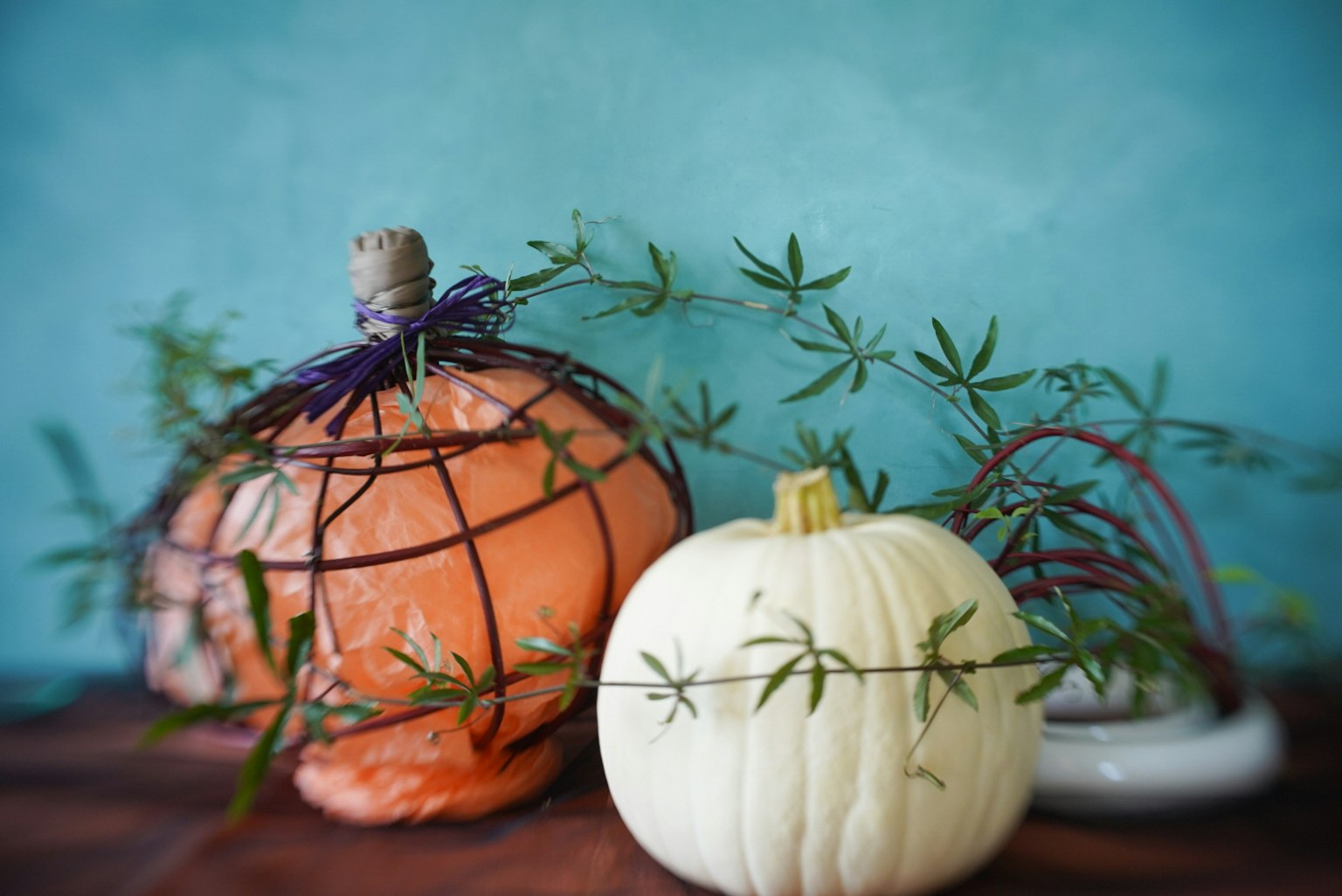 Una zucca arancione e una zucca bianca con viti verdi su uno sfondo blu