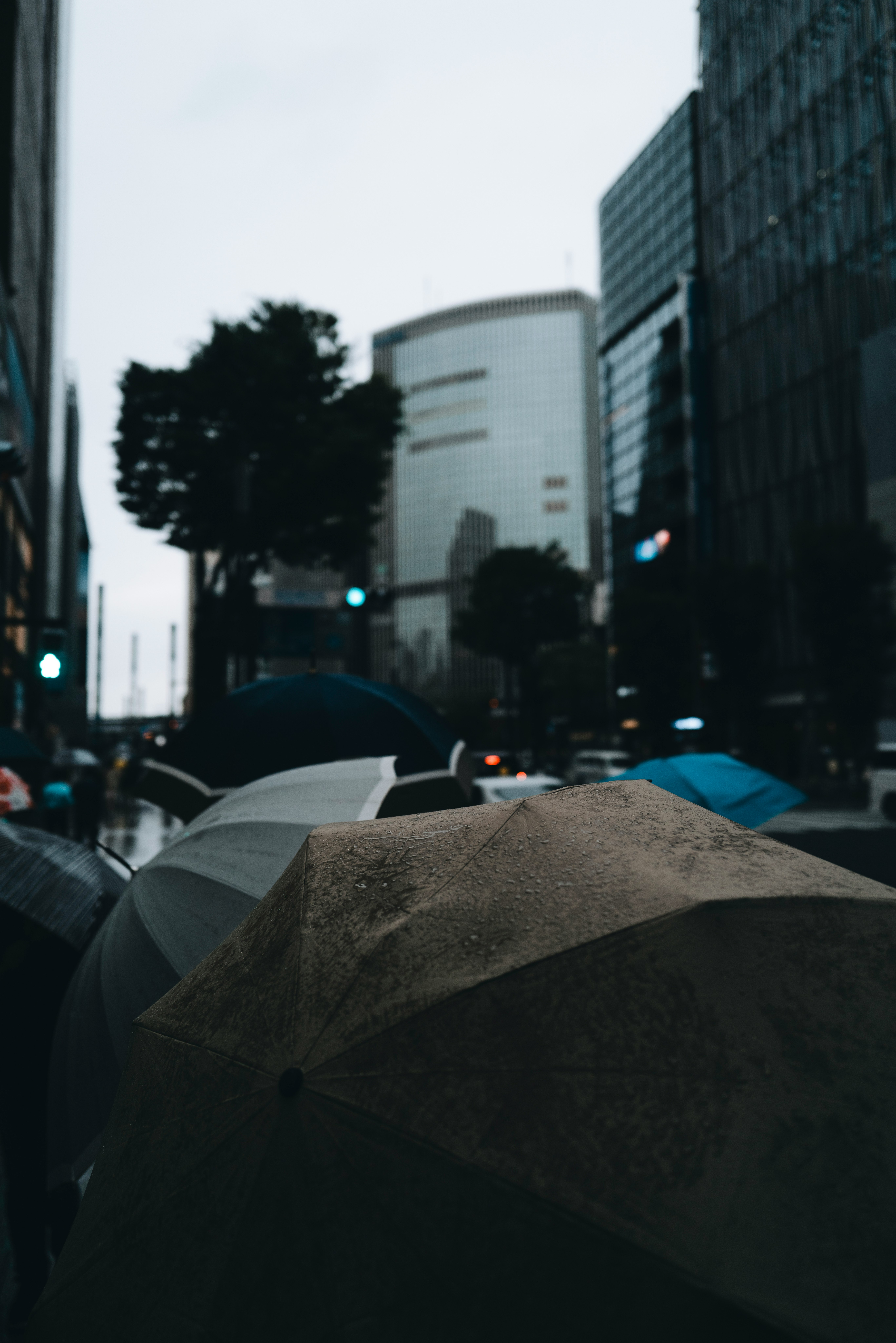 Umbrellas along a rainy Tokyo street scene
