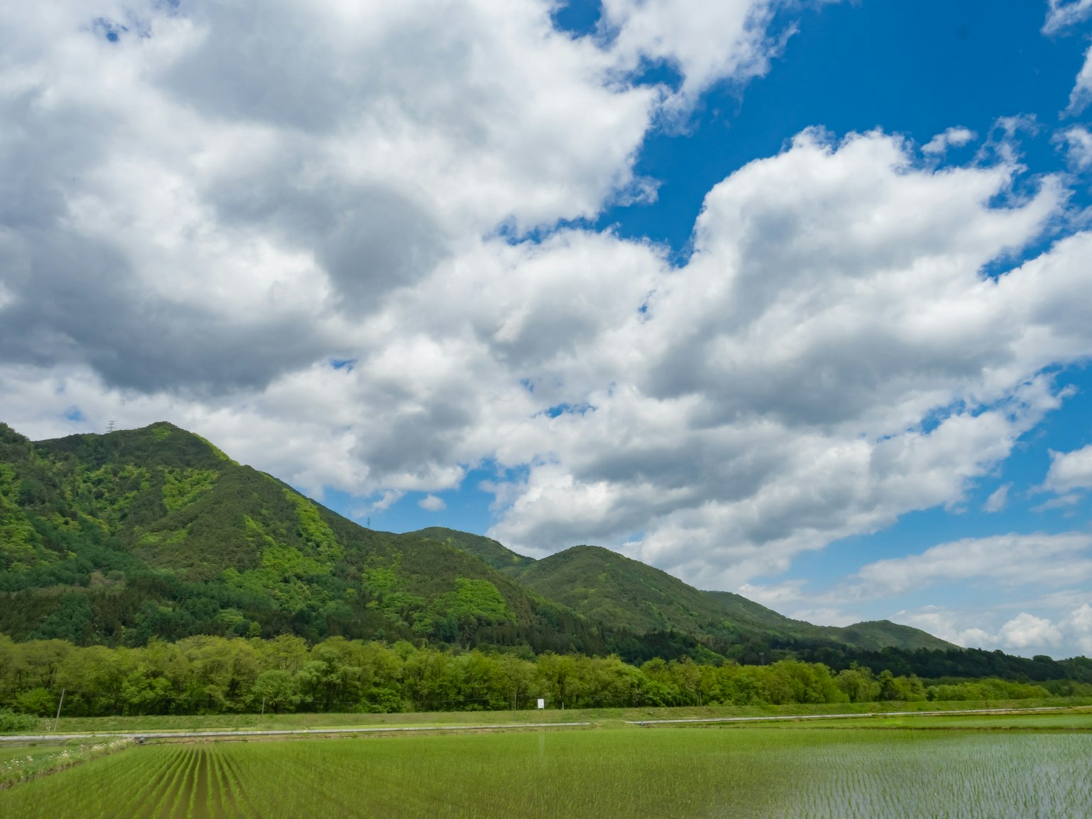 美麗的風景 藍天白雲 綠色山脈和稻田
