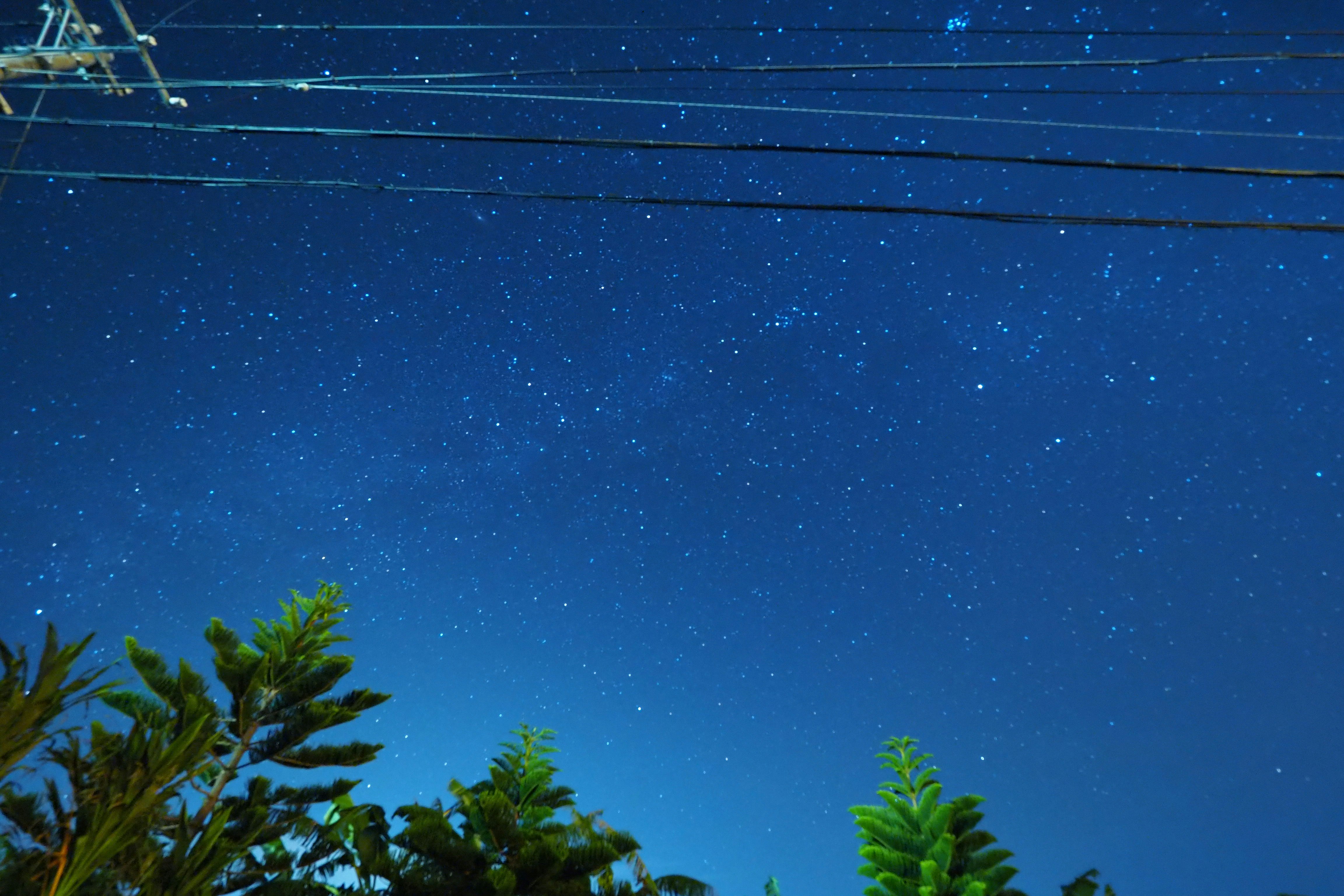 木々のシルエットと夜空に広がる星