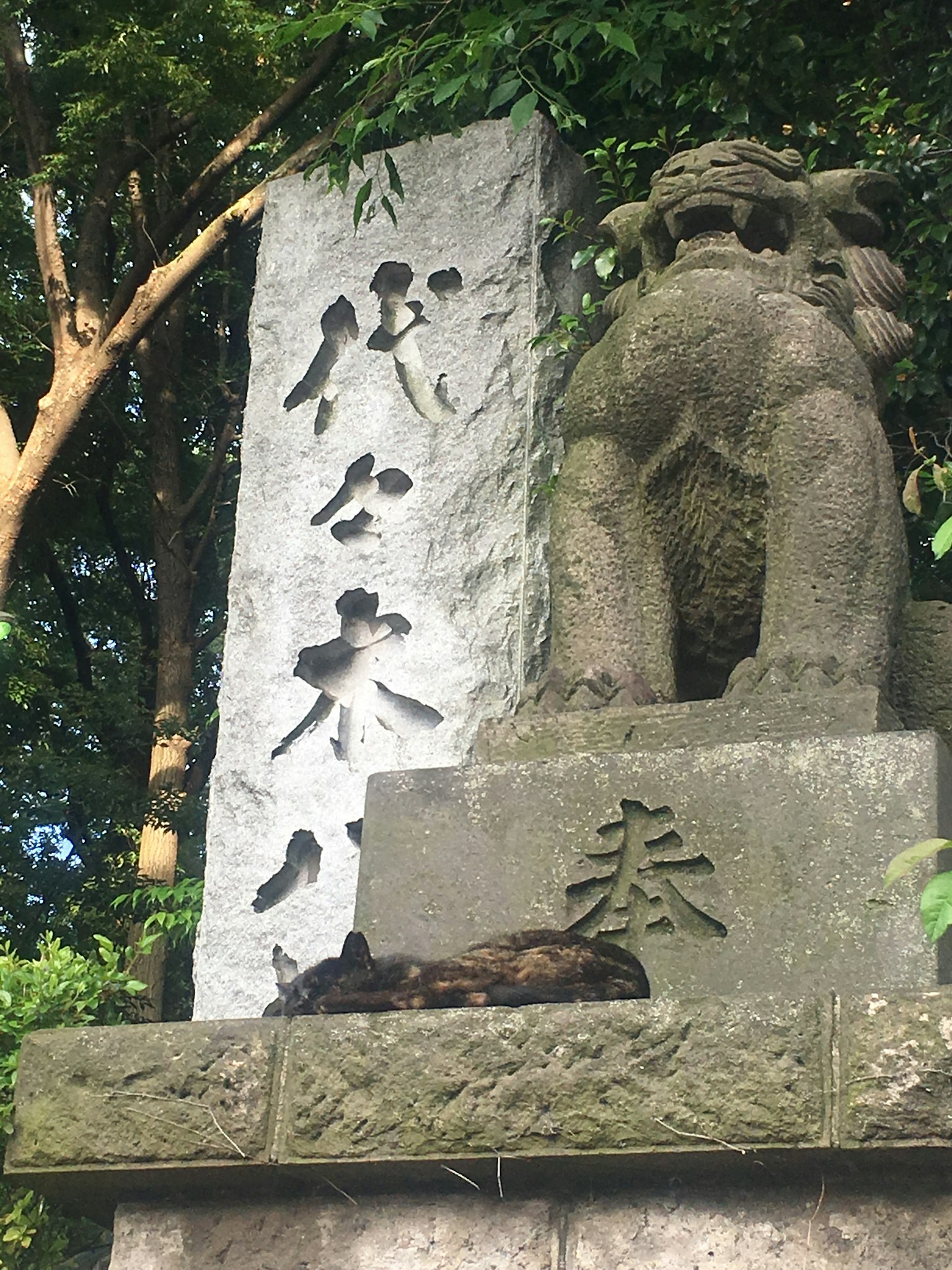 Un gato negro durmiendo al lado de un león guardián de piedra y una inscripción en un monumento de piedra