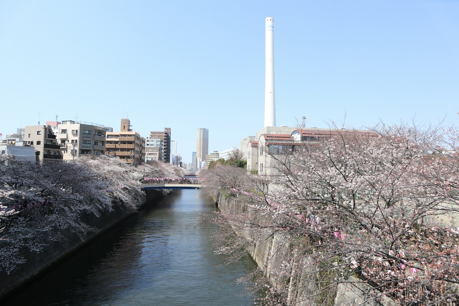 Escena de río con cerezos en flor y una chimenea de fábrica
