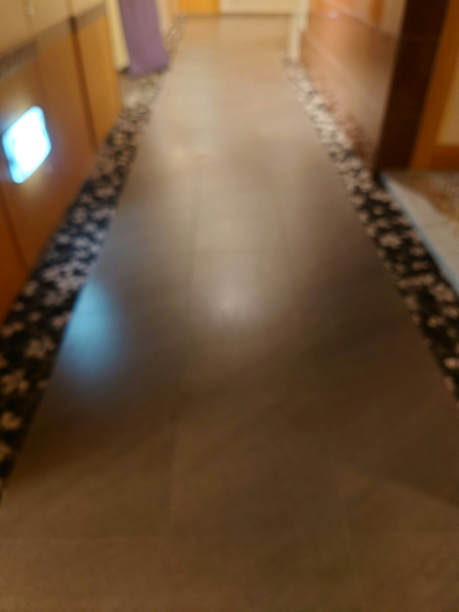 Un corridoio con un design di piastrelle e pavimenti distintivi