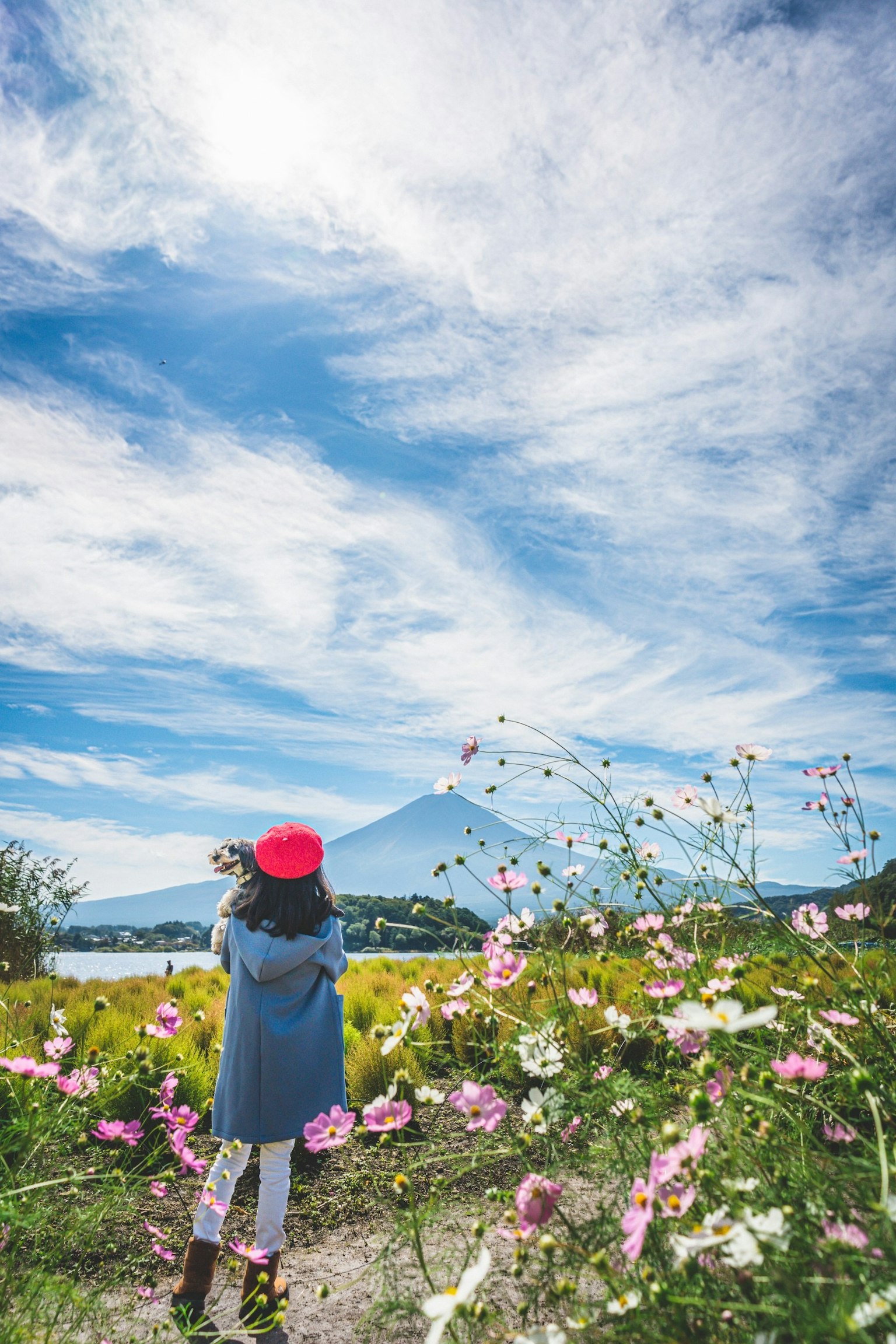 Child standing in a flower field with Mount Fuji in the background