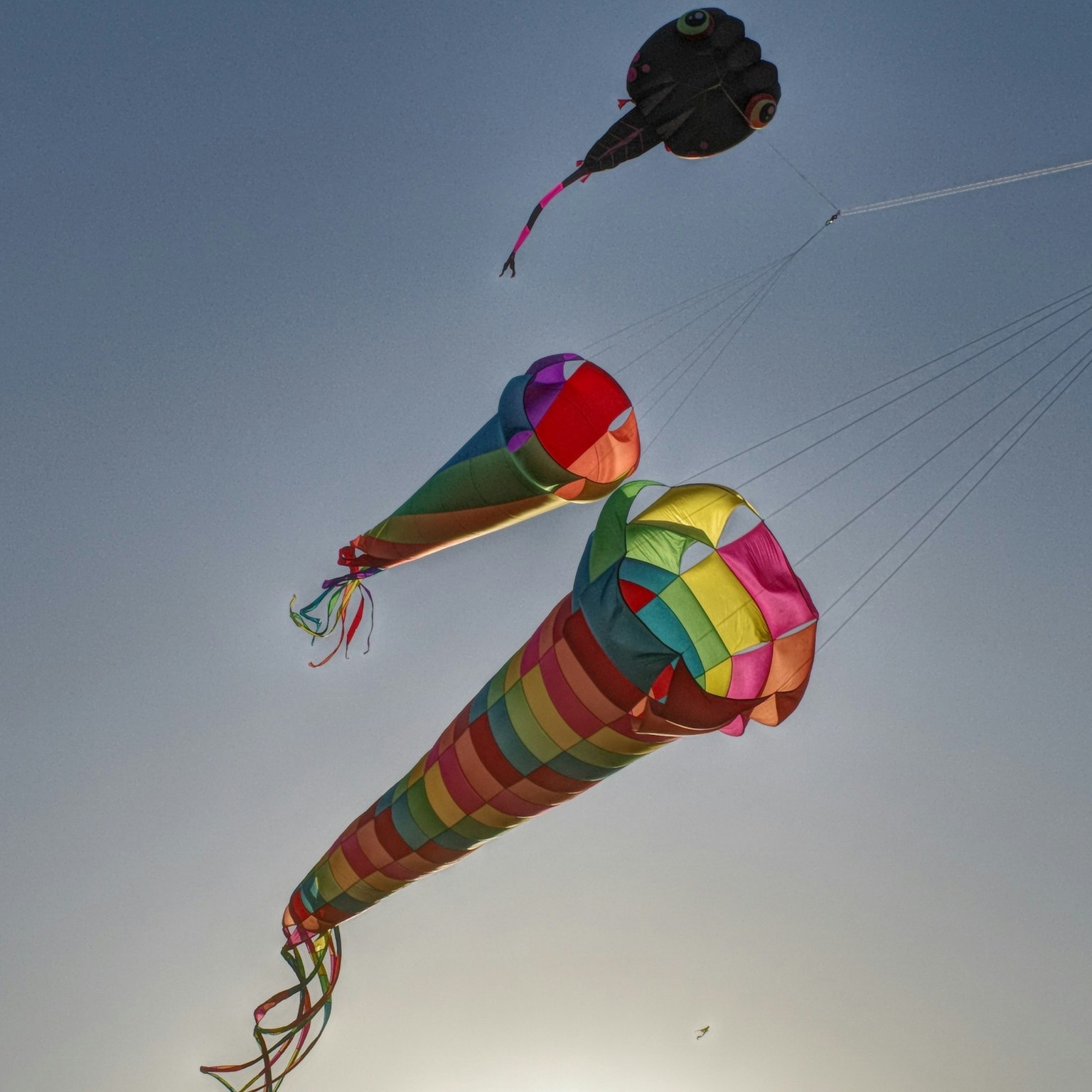 カラフルな凧が青空に舞い上がる様子