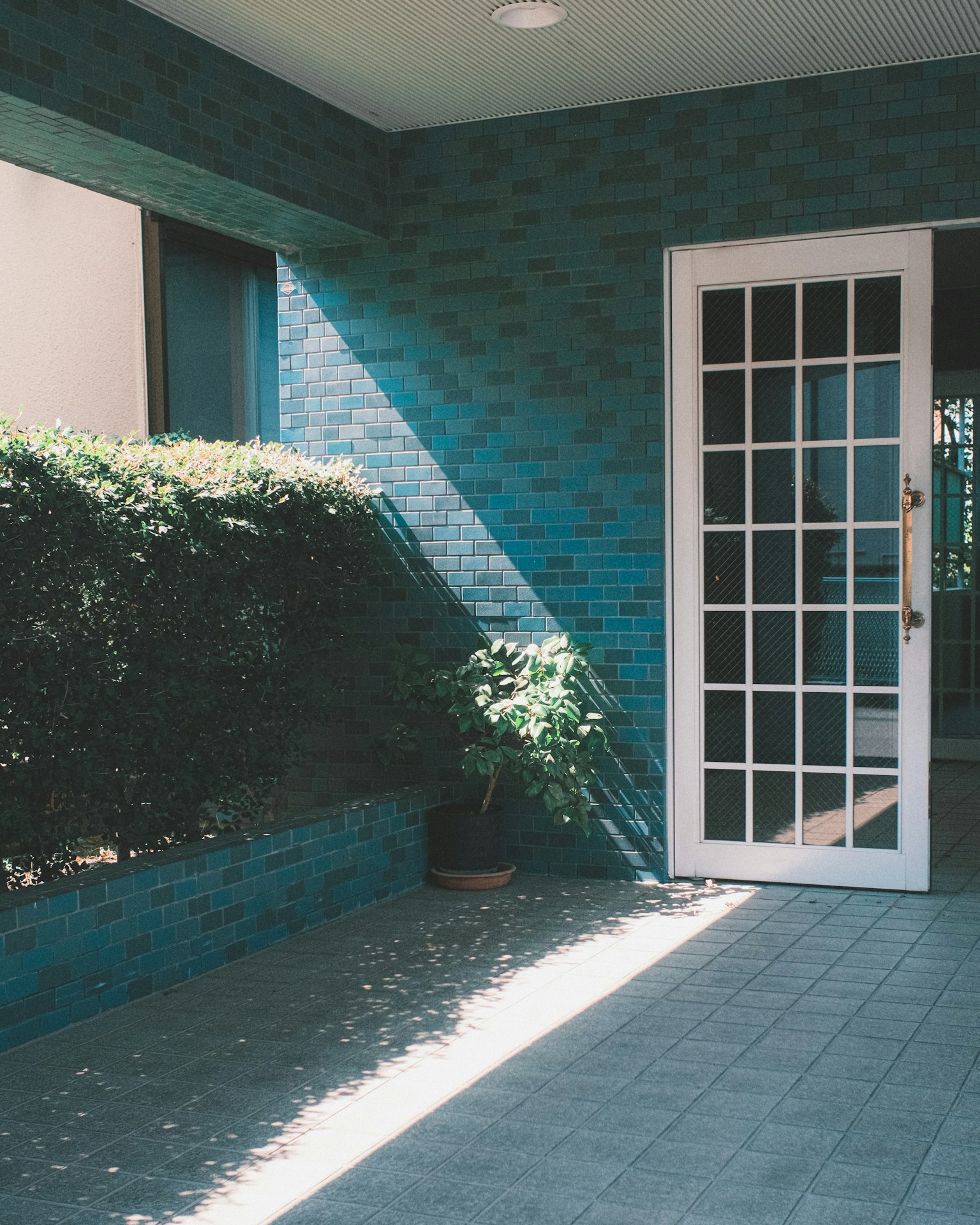 Entrée avec mur bleu porte blanche et plantes vertes