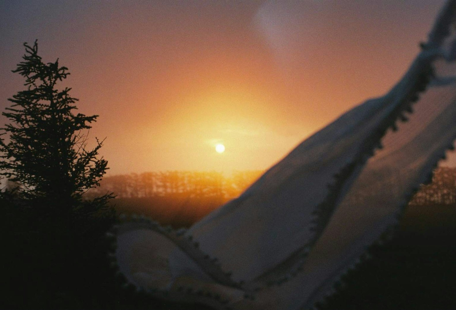 Ein weißer Stoff vor einem Sonnenuntergang mit Baumsilhouetten