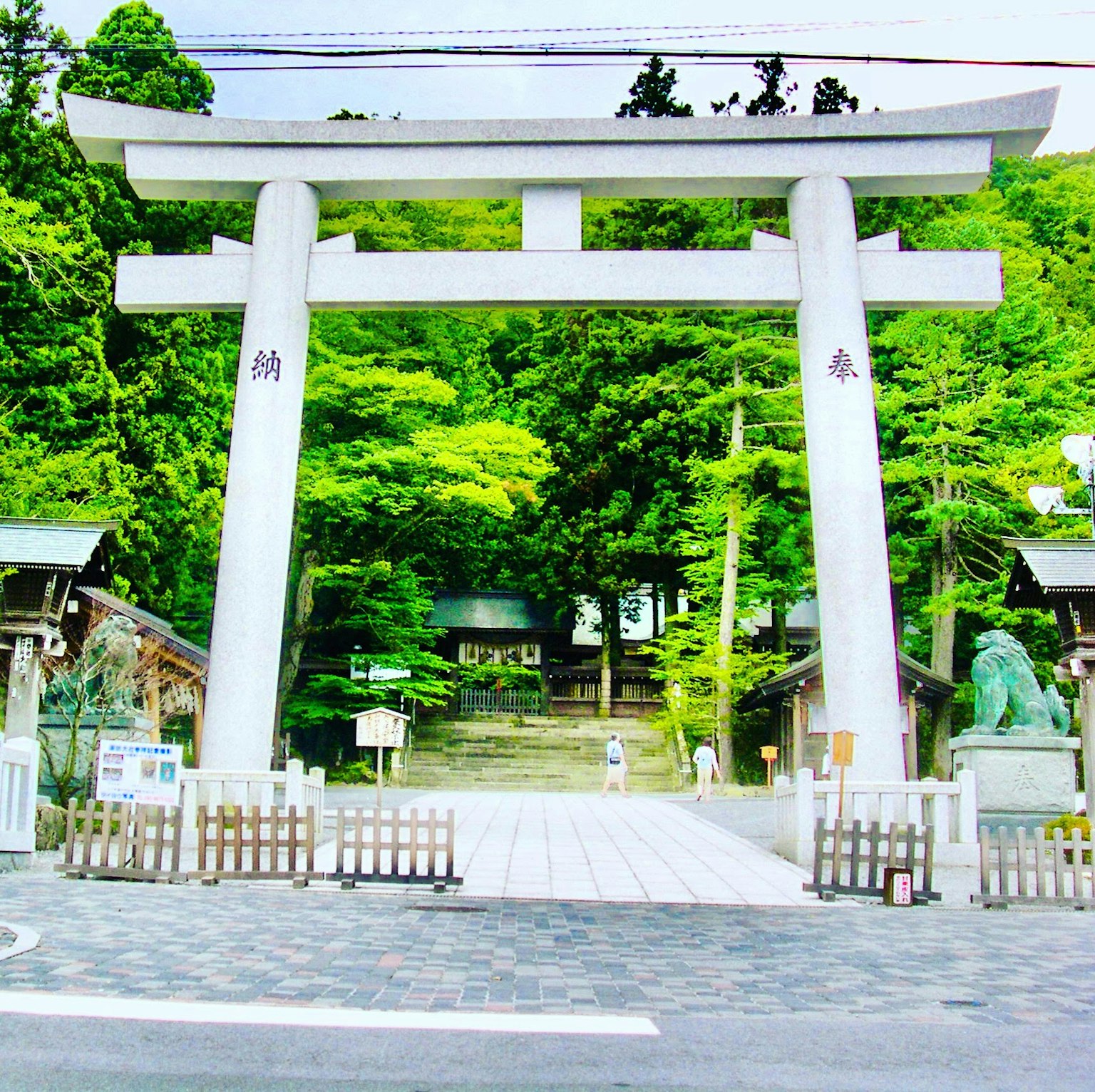 Große Torii-Tor umgeben von üppigem Grün am Eingang eines Schreins