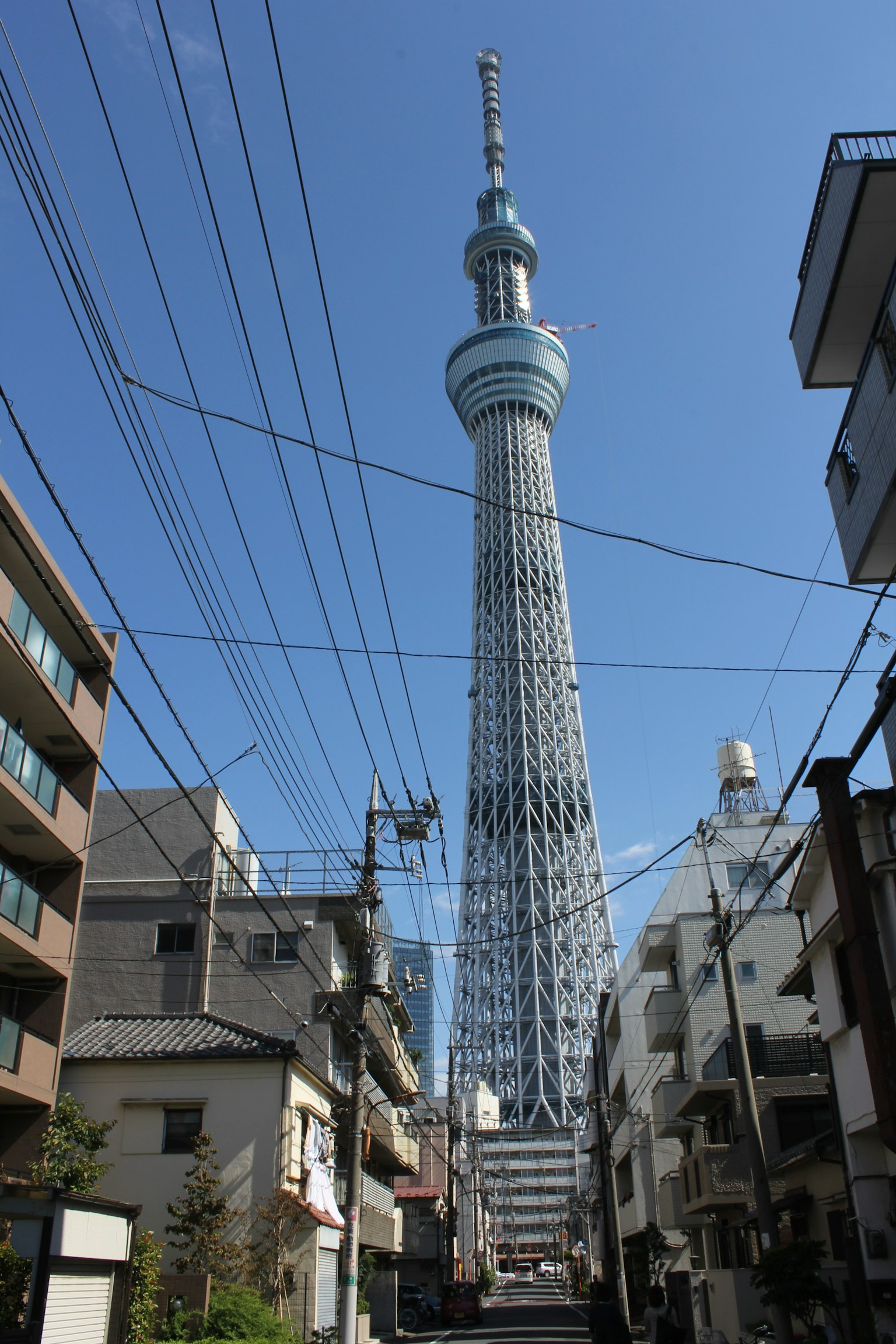 Tokyo Skytree che svetta sopra gli edifici della città sotto un cielo blu chiaro