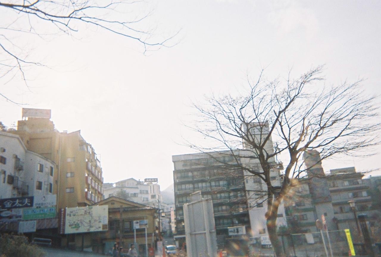 夕暮れの街角に立つ枯れ木とビル群